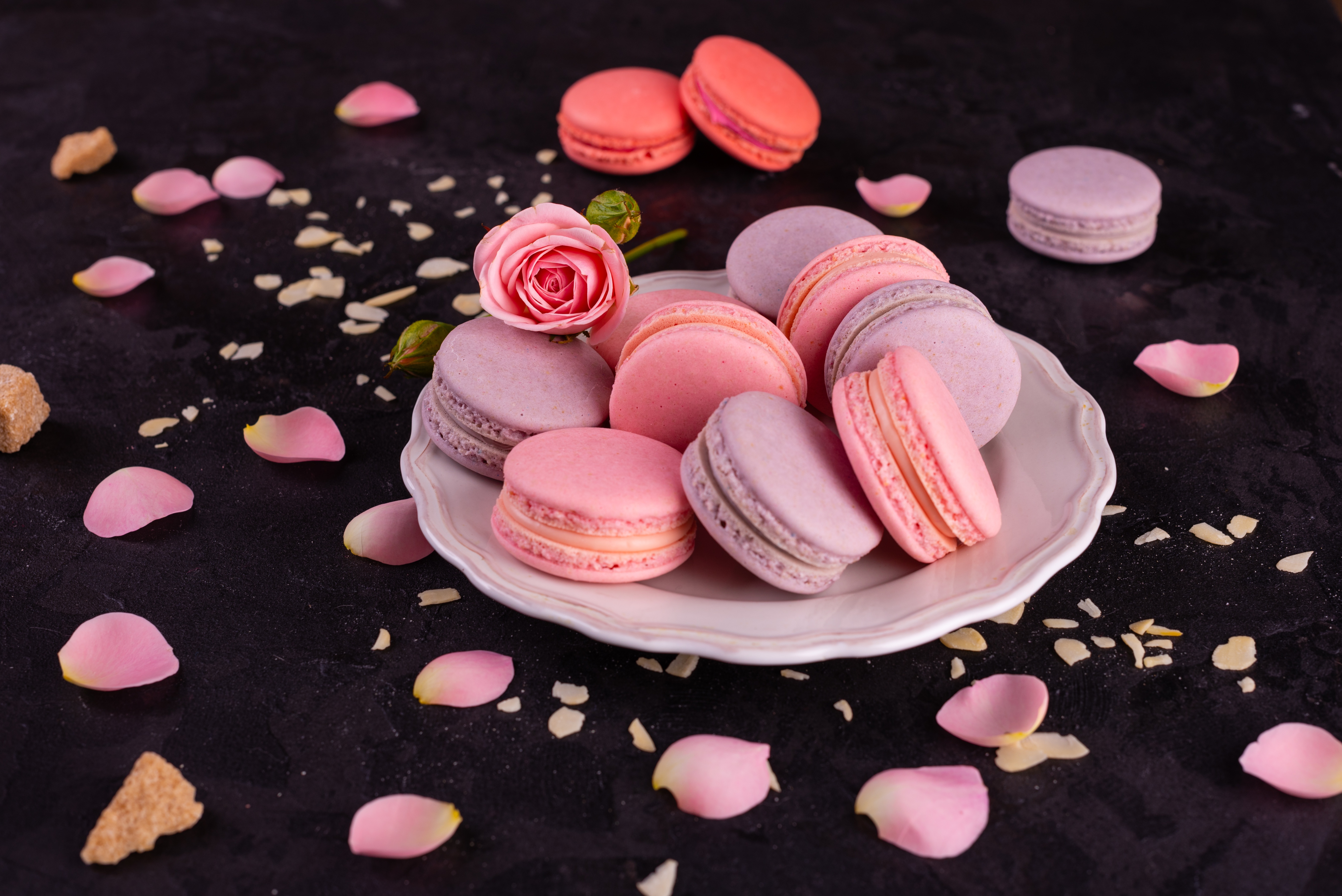 Free download wallpaper Food, Still Life, Sweets, Macaron on your PC desktop