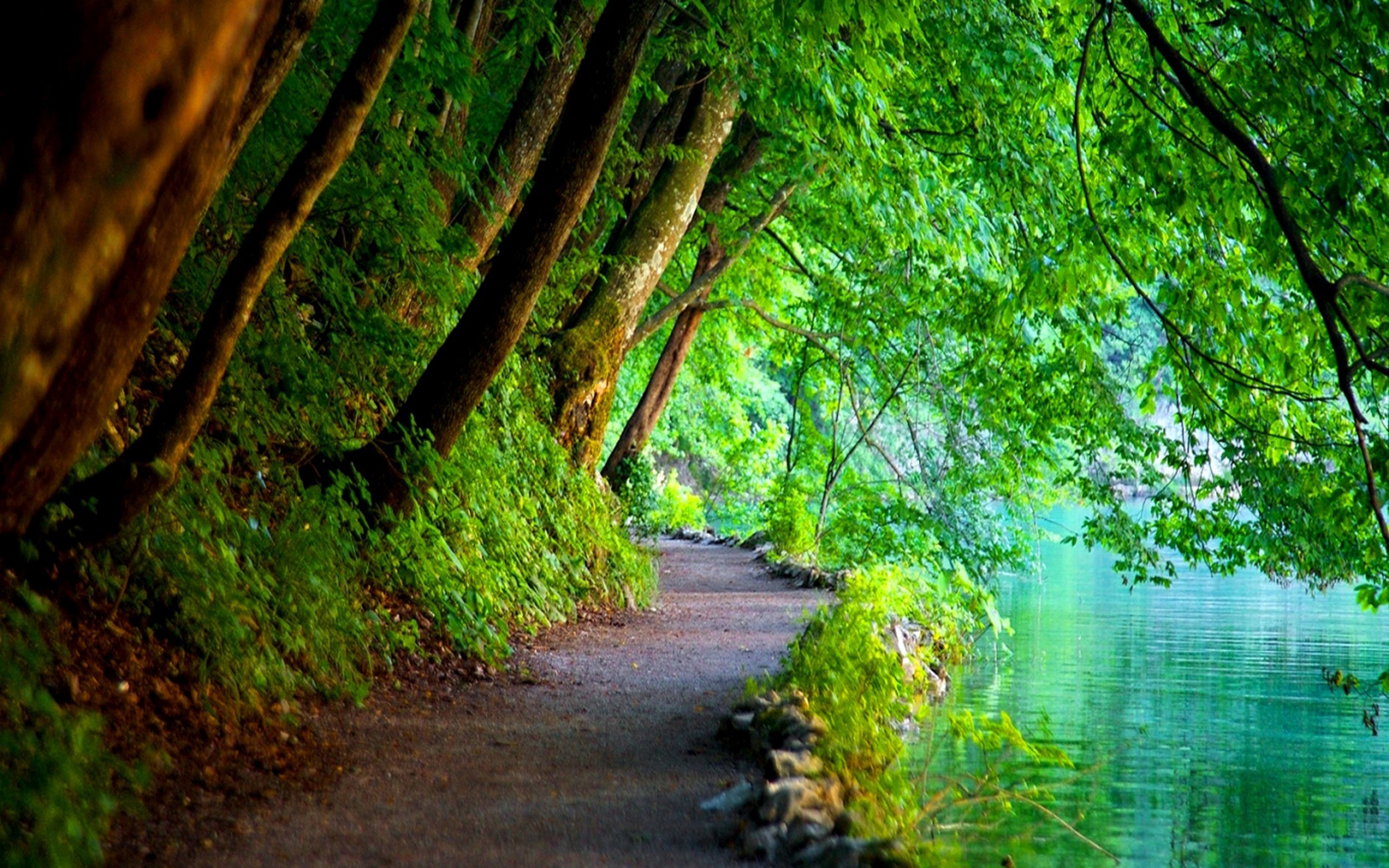 Download mobile wallpaper Lake, Tree, Leaf, Branch, Path, Man Made, Walkway for free.