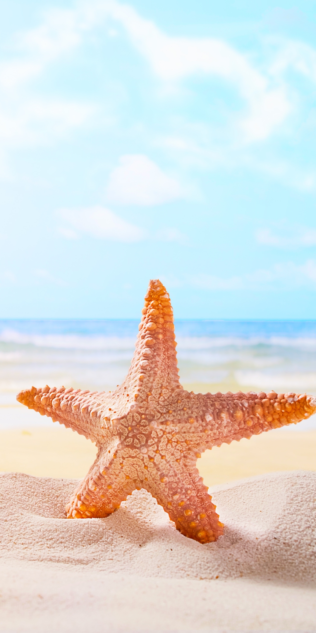 Download mobile wallpaper Beach, Sand, Starfish, Animal for free.