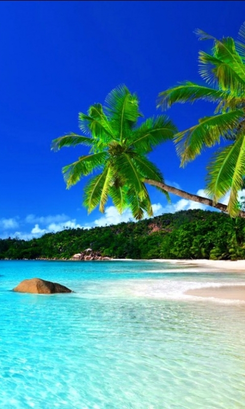 Download mobile wallpaper Earth, Tropical for free.
