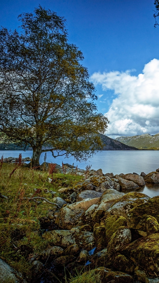 Baixar papel de parede para celular de Lagos, Lago, Terra/natureza gratuito.