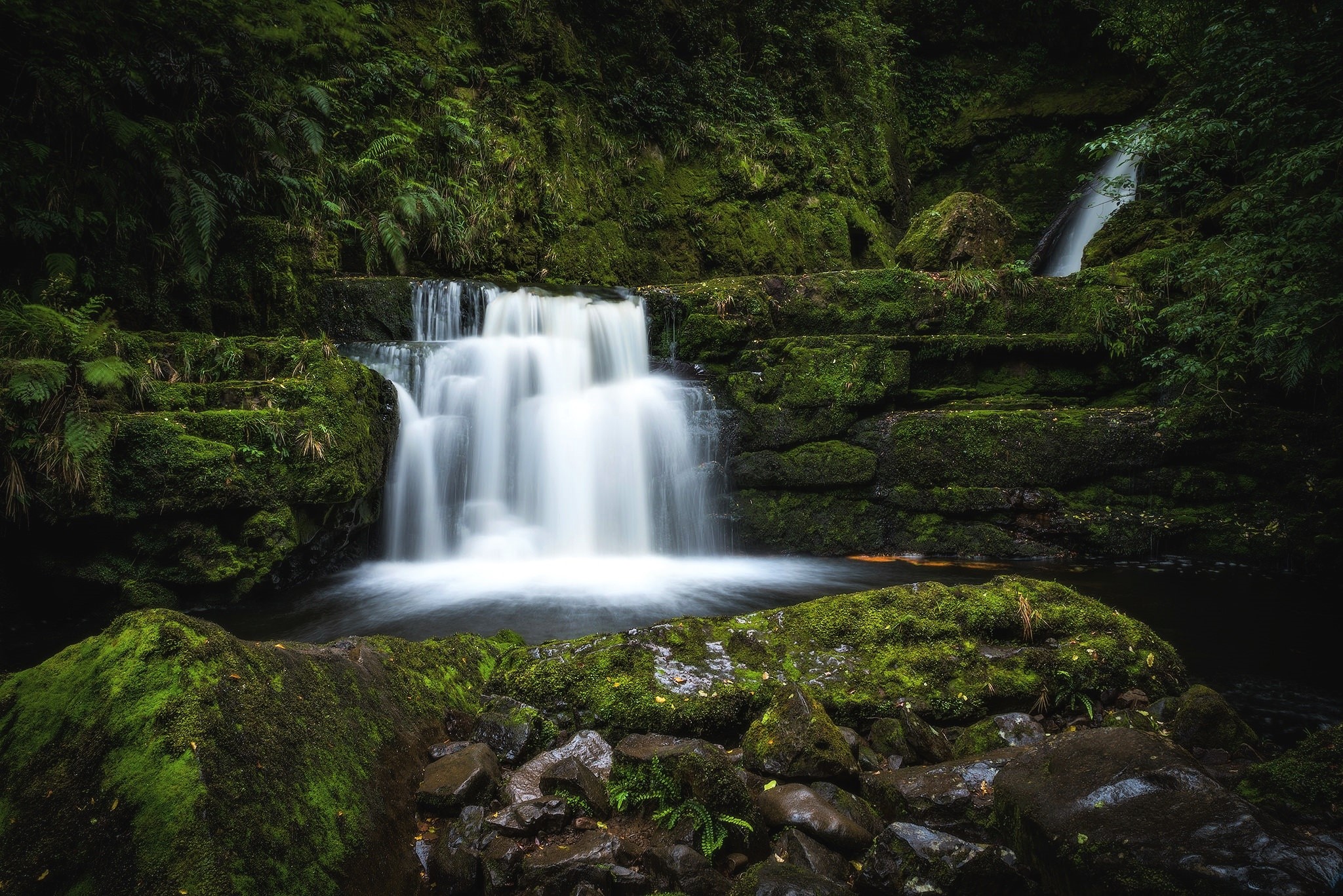 Handy-Wallpaper Wasserfälle, Wasserfall, Wald, Moos, Erde/natur kostenlos herunterladen.