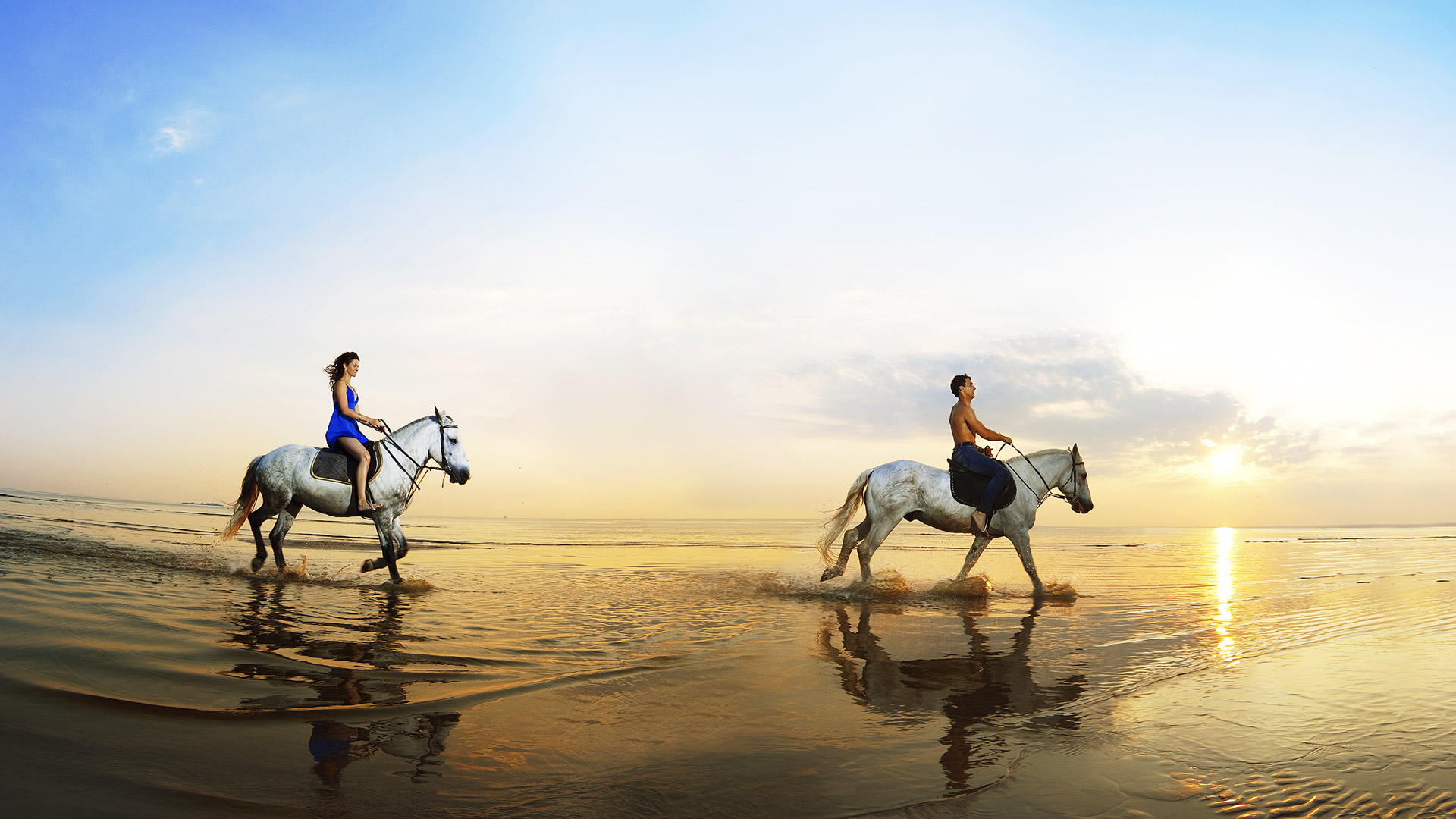 photography, horse riding, beach, horizon, horse, ocean, sand, sea, sunset