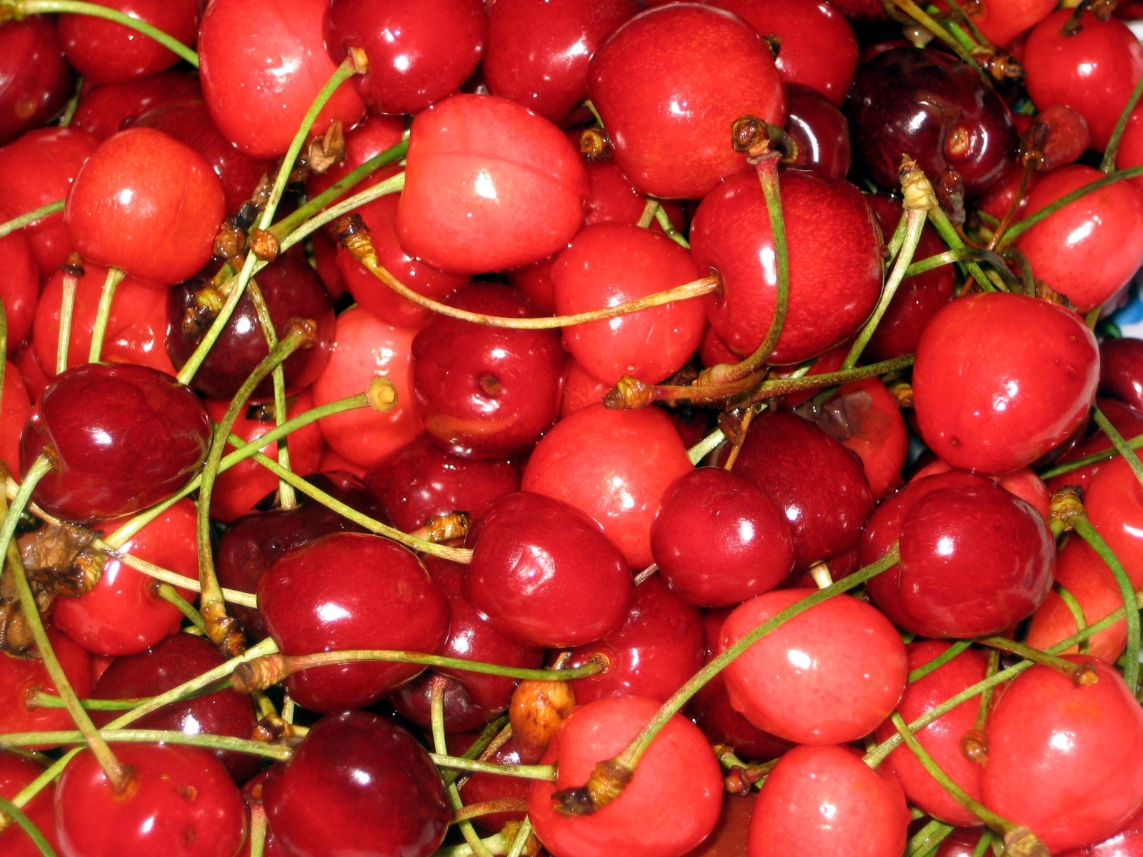 background, fruits, sweet cherry, food, berries, red