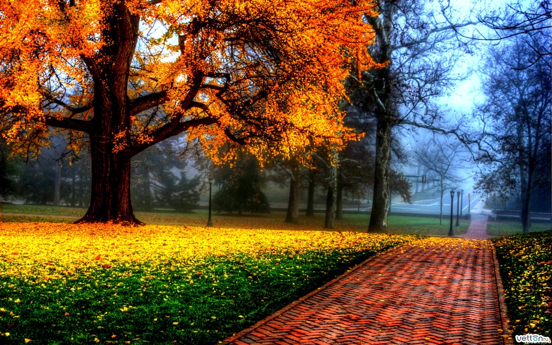 PCデスクトップに木, 道路, 秋, 風景画像を無料でダウンロード