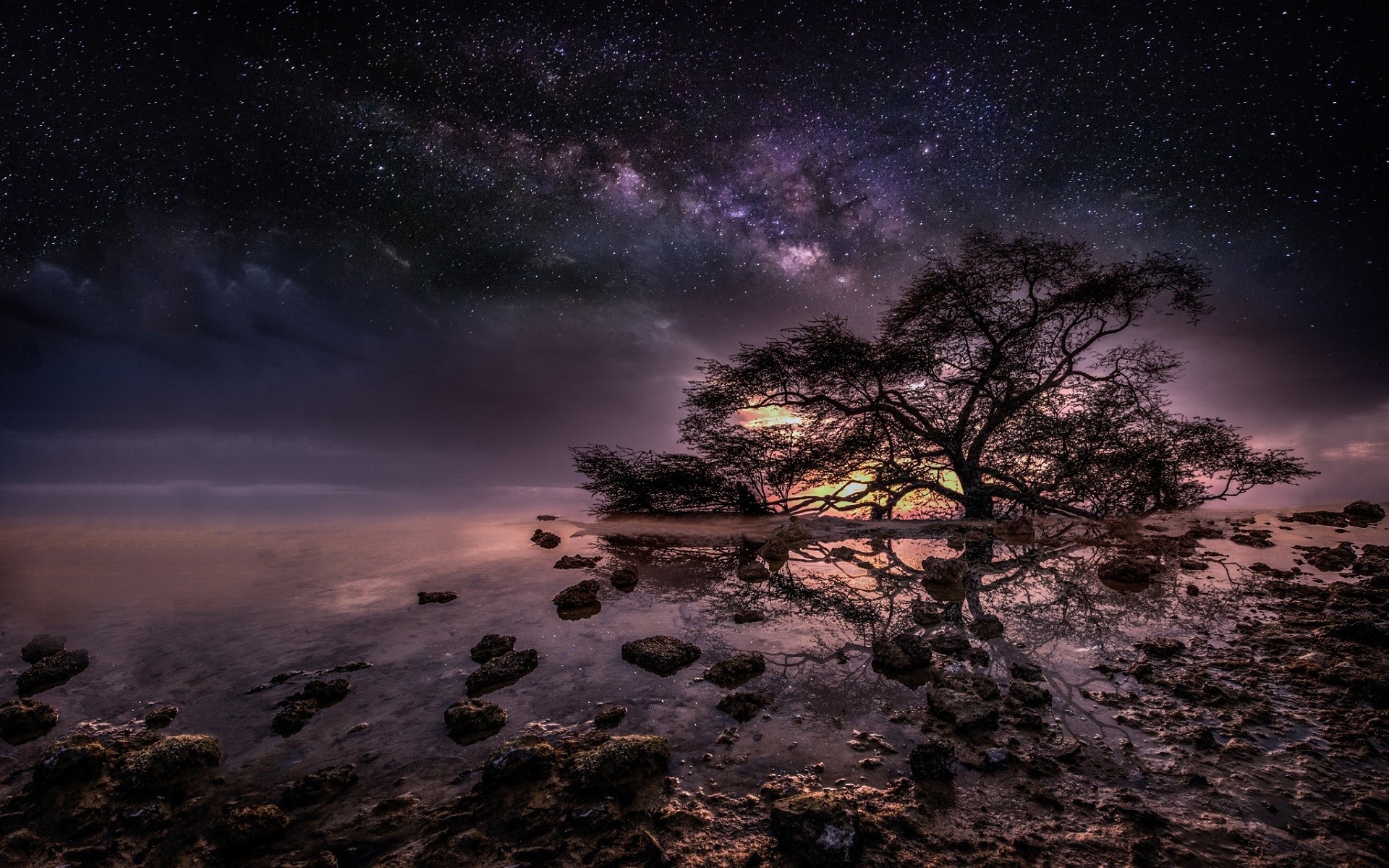 Download mobile wallpaper Trees, Sea, Night, Tree, Ocean, Starry Sky, Earth for free.