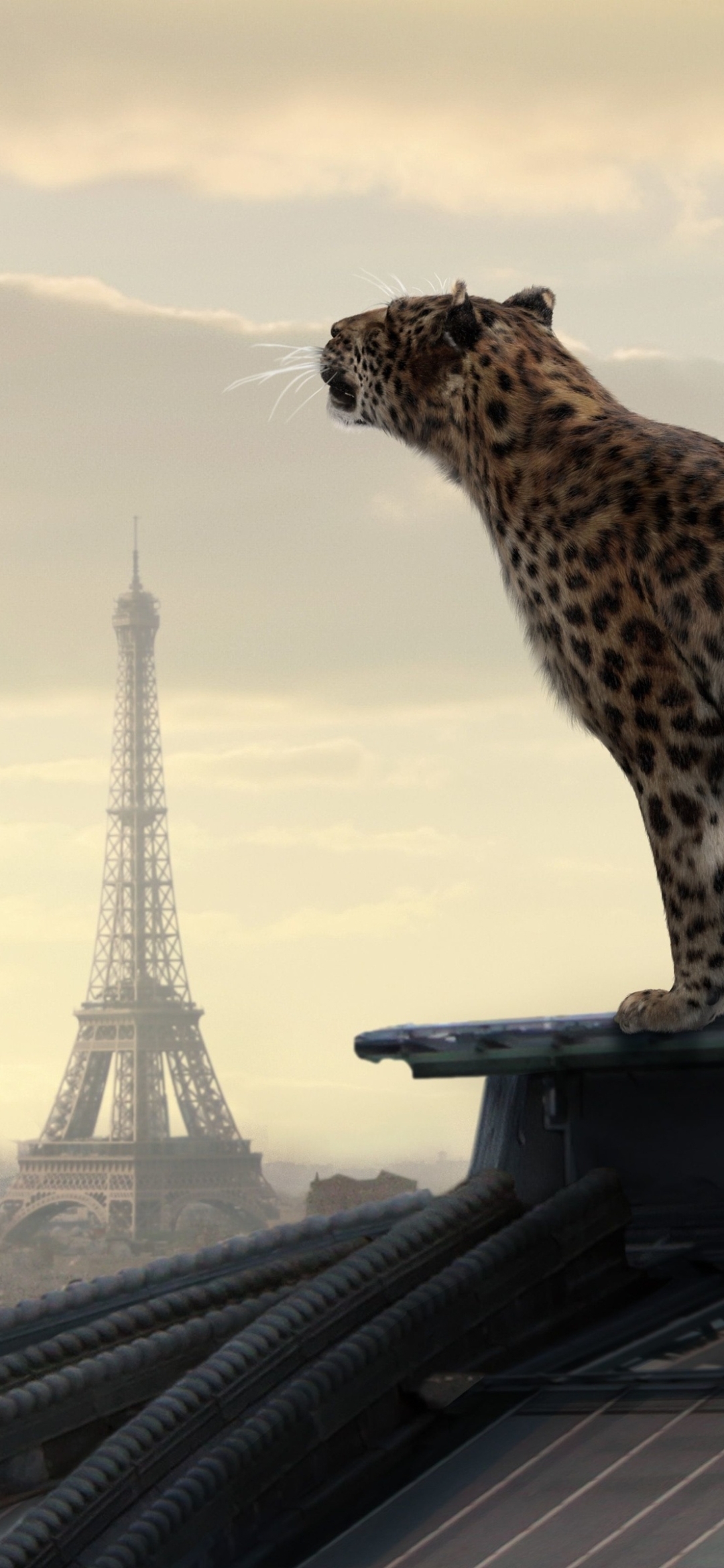 Скачать картинку Животные, Париж, Эйфелева Башня, Ягуар, Кошки в телефон бесплатно.