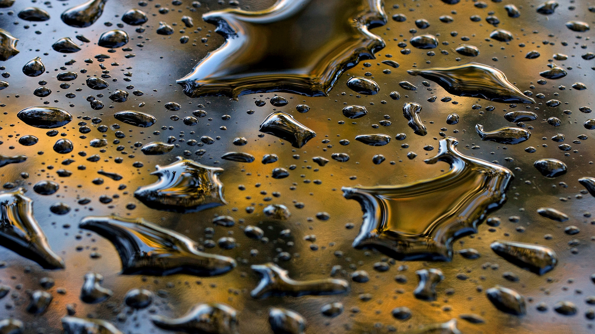 Free download wallpaper Photography, Raindrops, Water Drop on your PC desktop