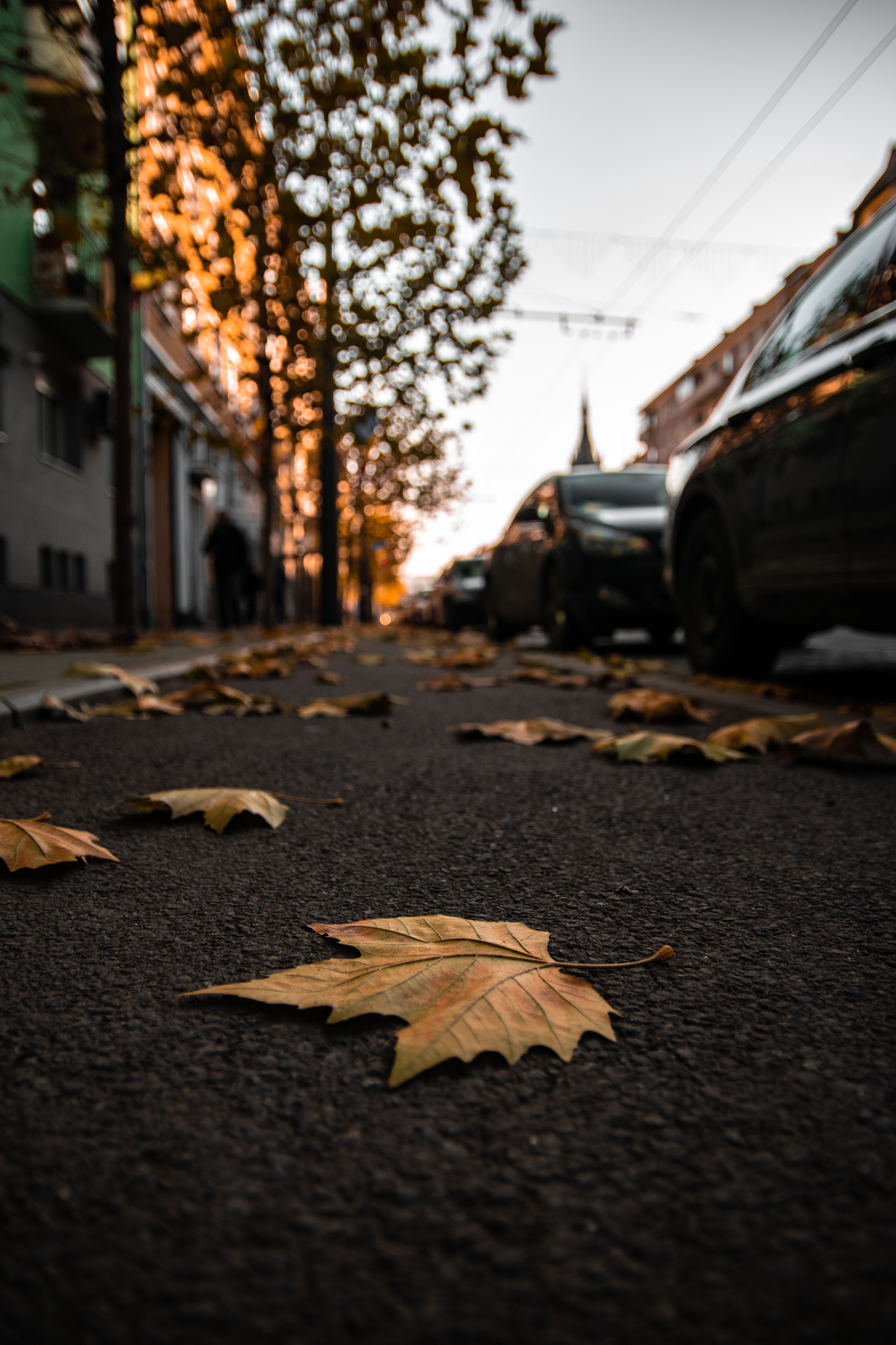 Download mobile wallpaper Cities, City, Asphalt, Autumn, Leaves, Street for free.
