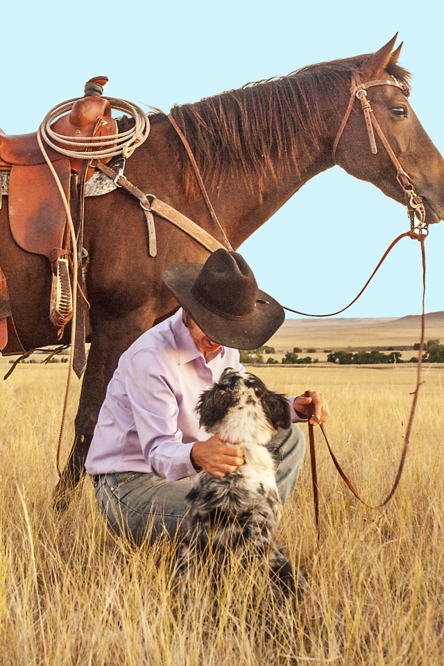 Download mobile wallpaper Men, Dog, Portrait, Horse, Ranch, Cowboy for free.