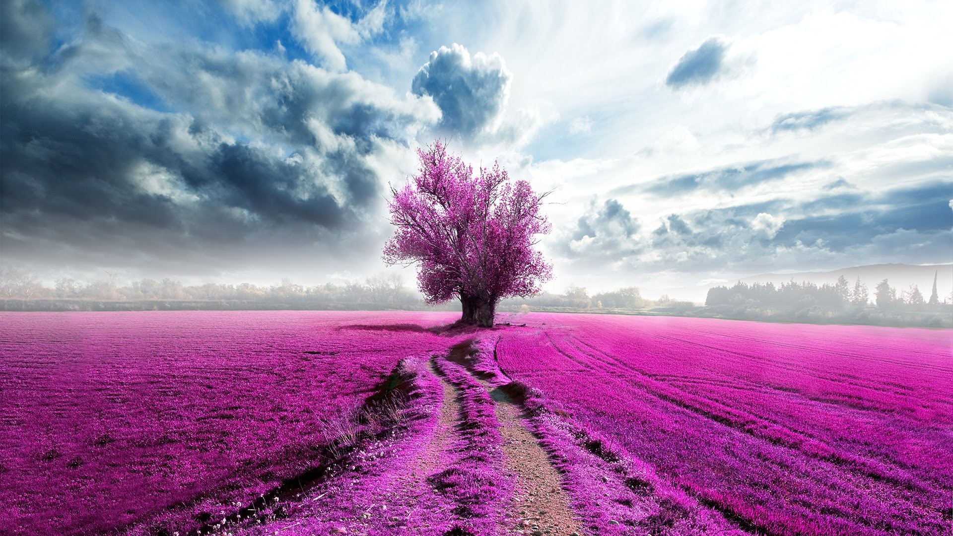 Download mobile wallpaper Tree, Field, Purple, Artistic, Cloud for free.