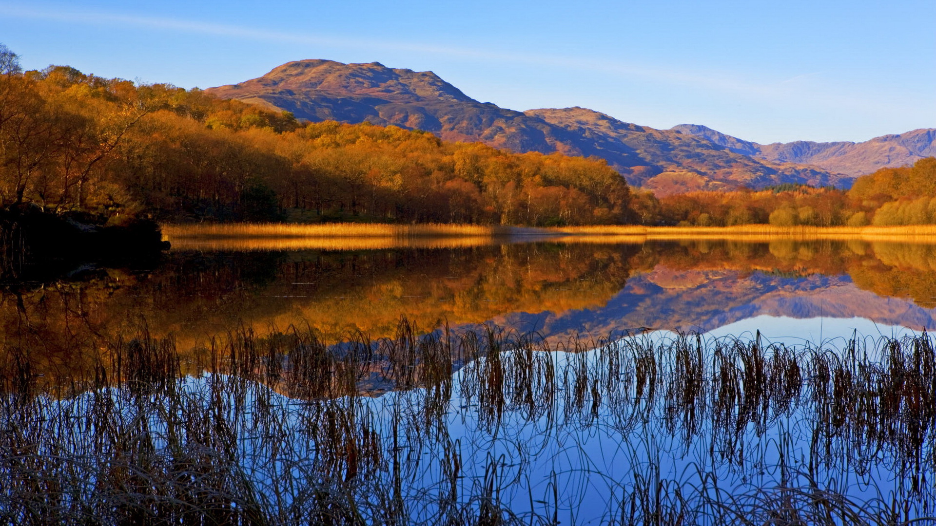 Descarga gratis la imagen Tierra/naturaleza, Reflejo en el escritorio de tu PC