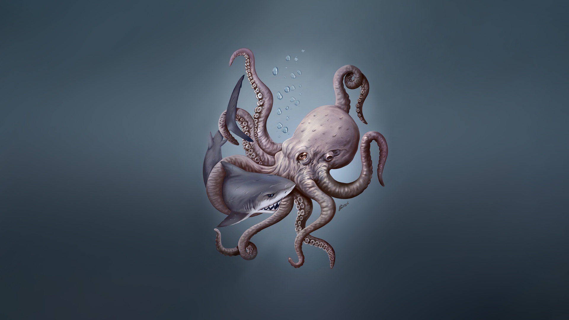 Free download wallpaper Octopus, Animal on your PC desktop