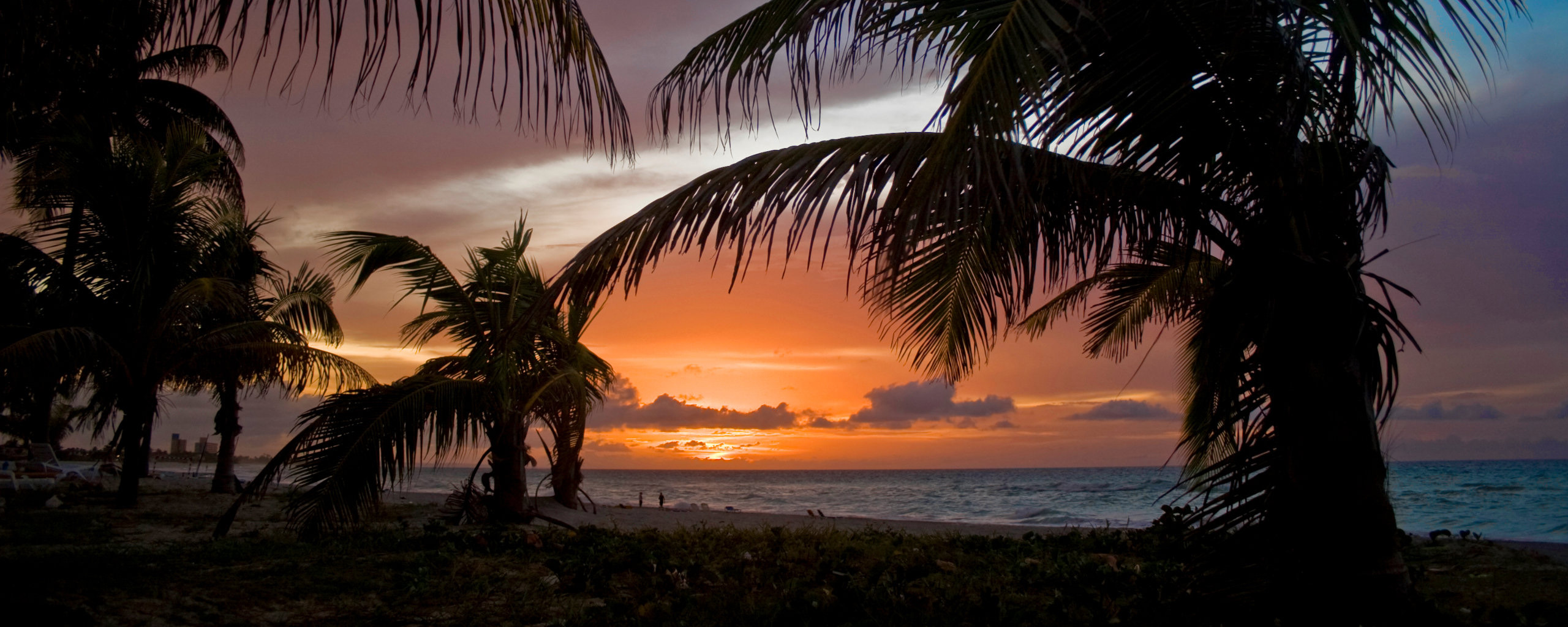 Free download wallpaper Sunset, Photography, Palm Tree on your PC desktop