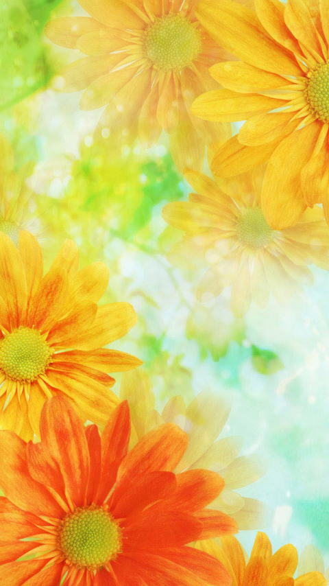 Descarga gratuita de fondo de pantalla para móvil de Flores, Flor, Artístico.