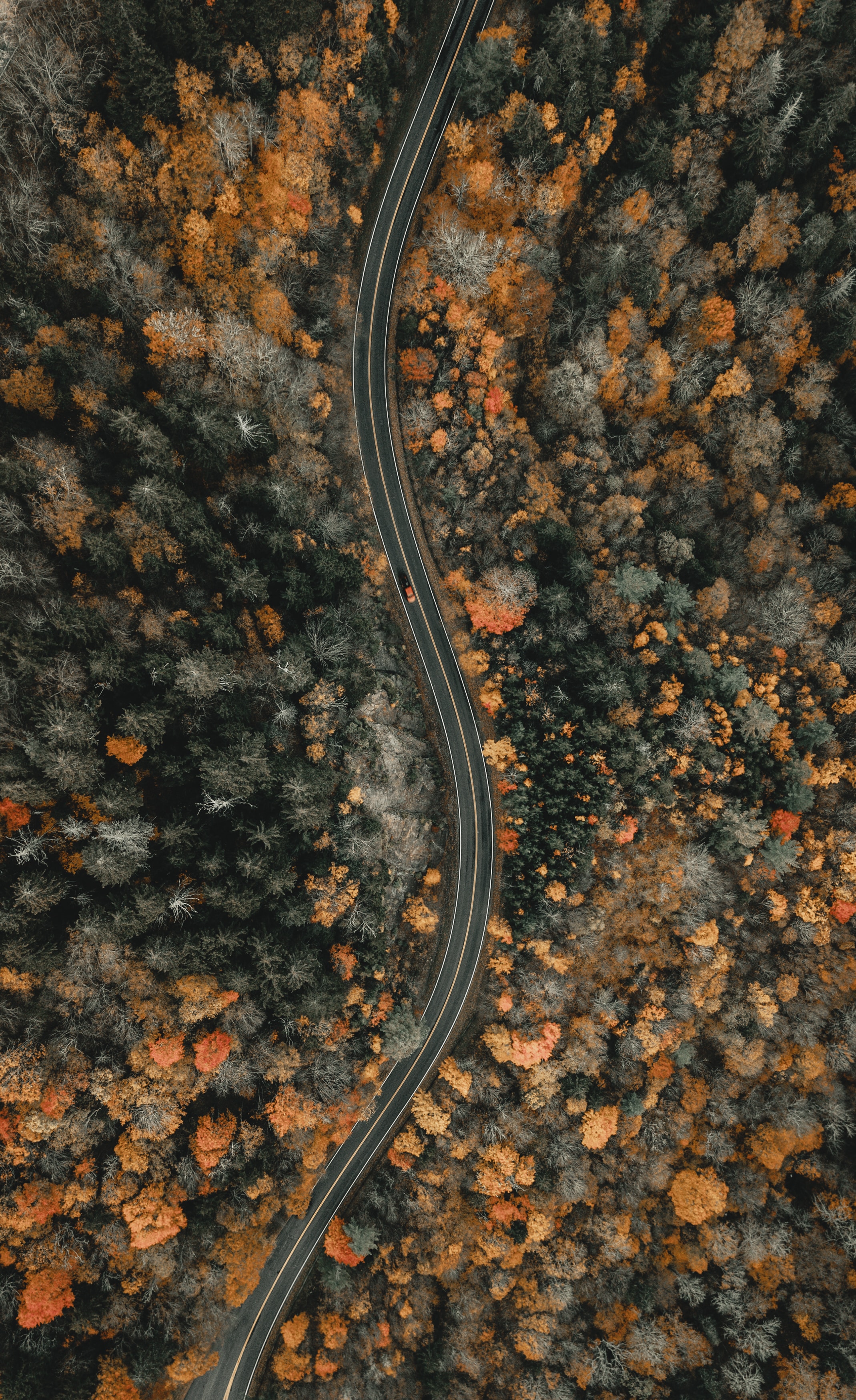 Free download wallpaper Nature, View From Above, Road, Forest, Winding, Sinuous on your PC desktop