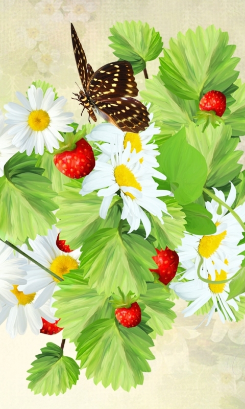 Скачати мобільні шпалери Полуниця, Квітка, Метелик, Художній, Біла Квітка, Дейзі, Флауерзи безкоштовно.
