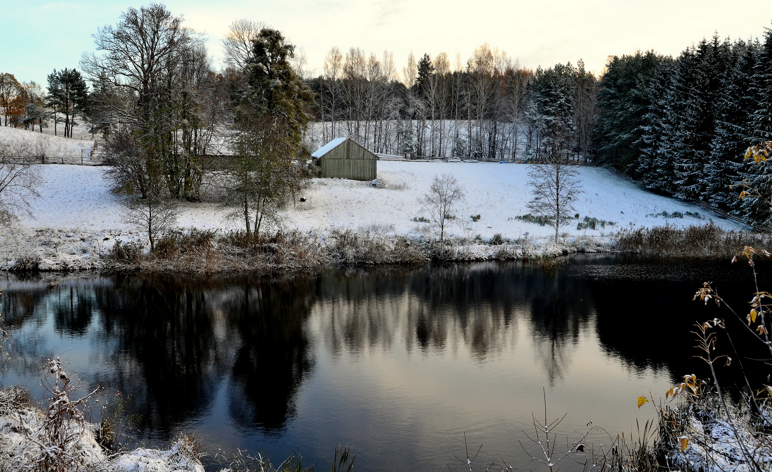 Handy-Wallpaper Winter, Fotografie kostenlos herunterladen.