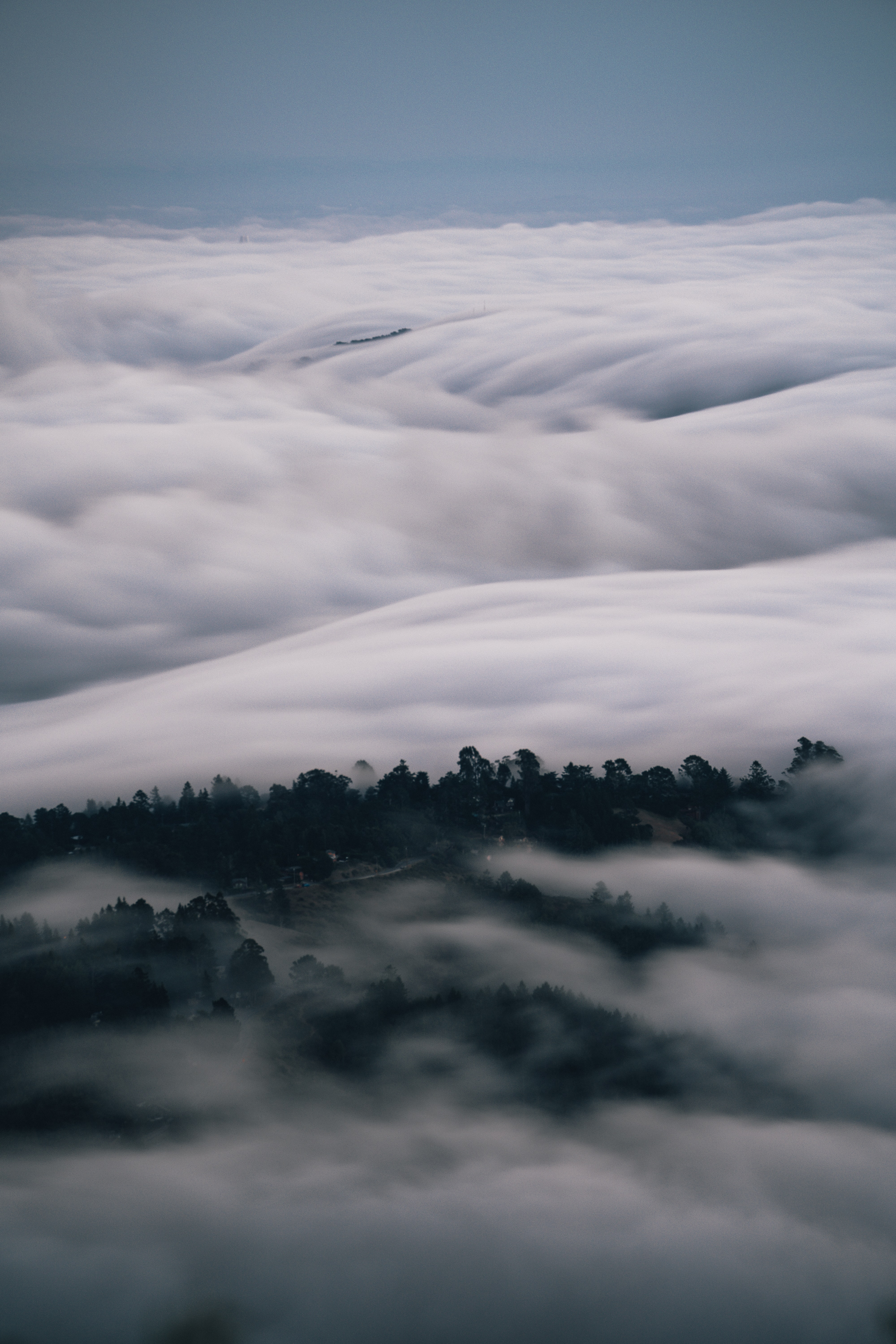 Laden Sie das Natur, Bäume, Nebel, Distanz, Clouds, Dahl-Bild kostenlos auf Ihren PC-Desktop herunter