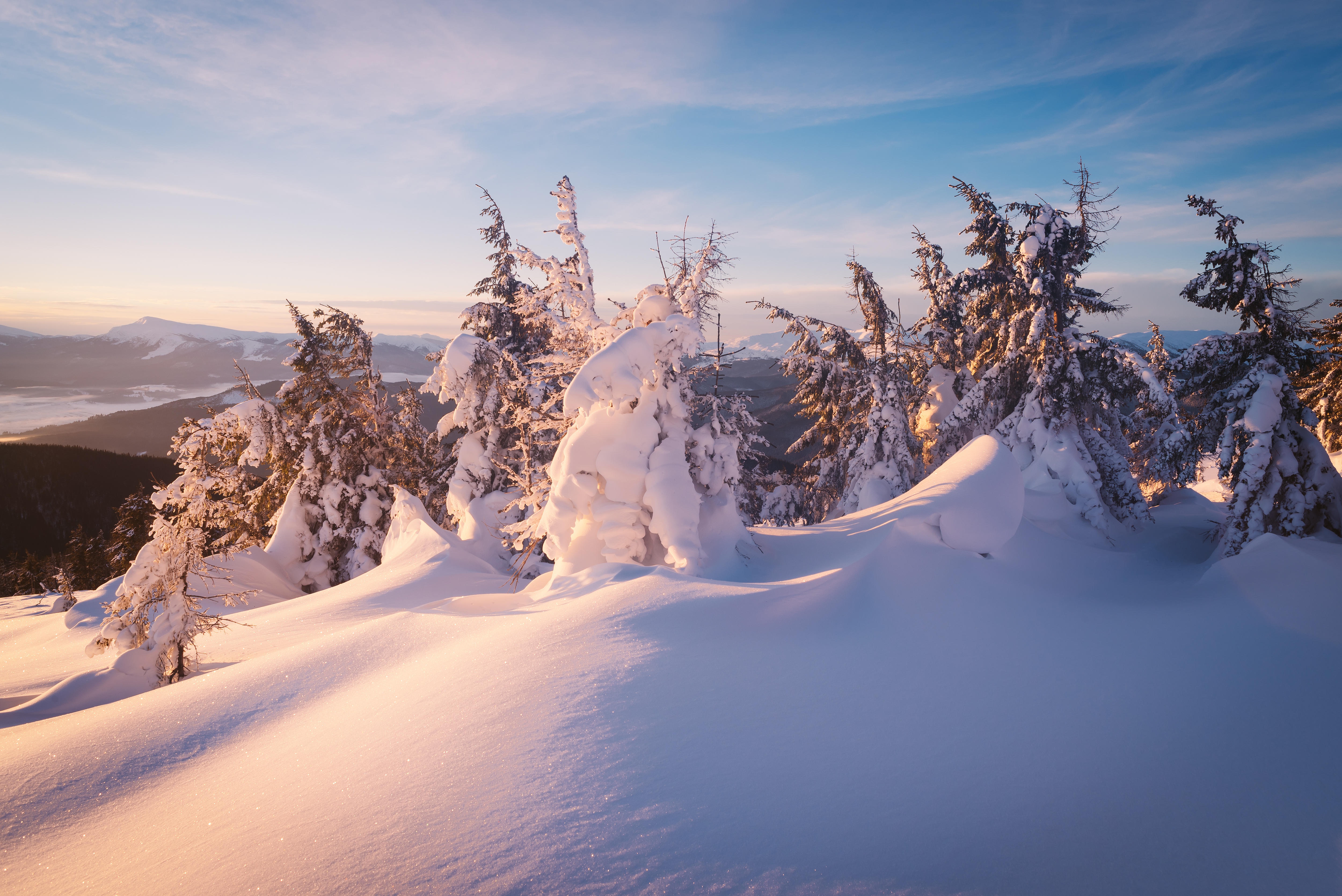 Laden Sie das Winter, Natur, Schnee, Fichte, Erde/natur-Bild kostenlos auf Ihren PC-Desktop herunter