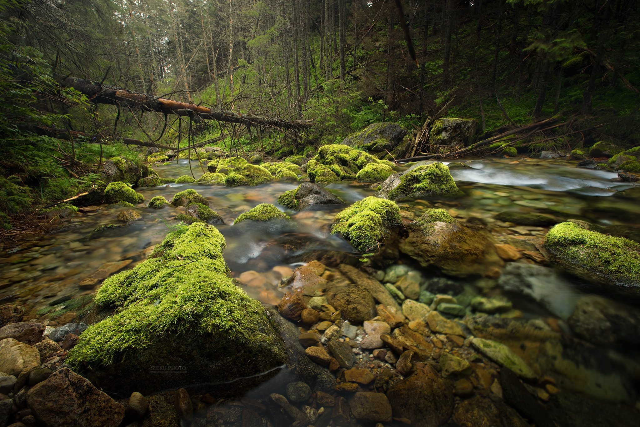 Download mobile wallpaper Nature, Earth, Stone, Moss, Stream, Greenery for free.