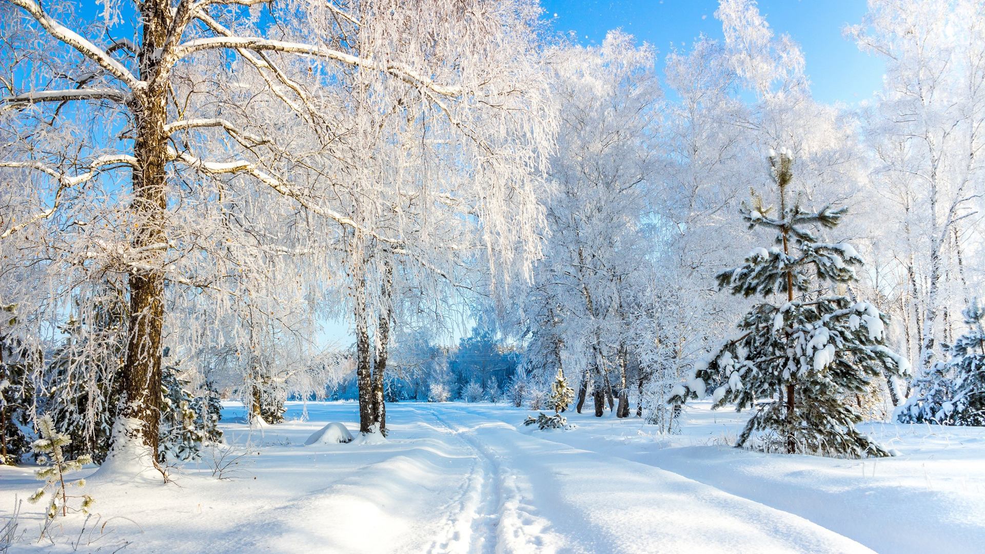 Free download wallpaper Winter, Earth on your PC desktop