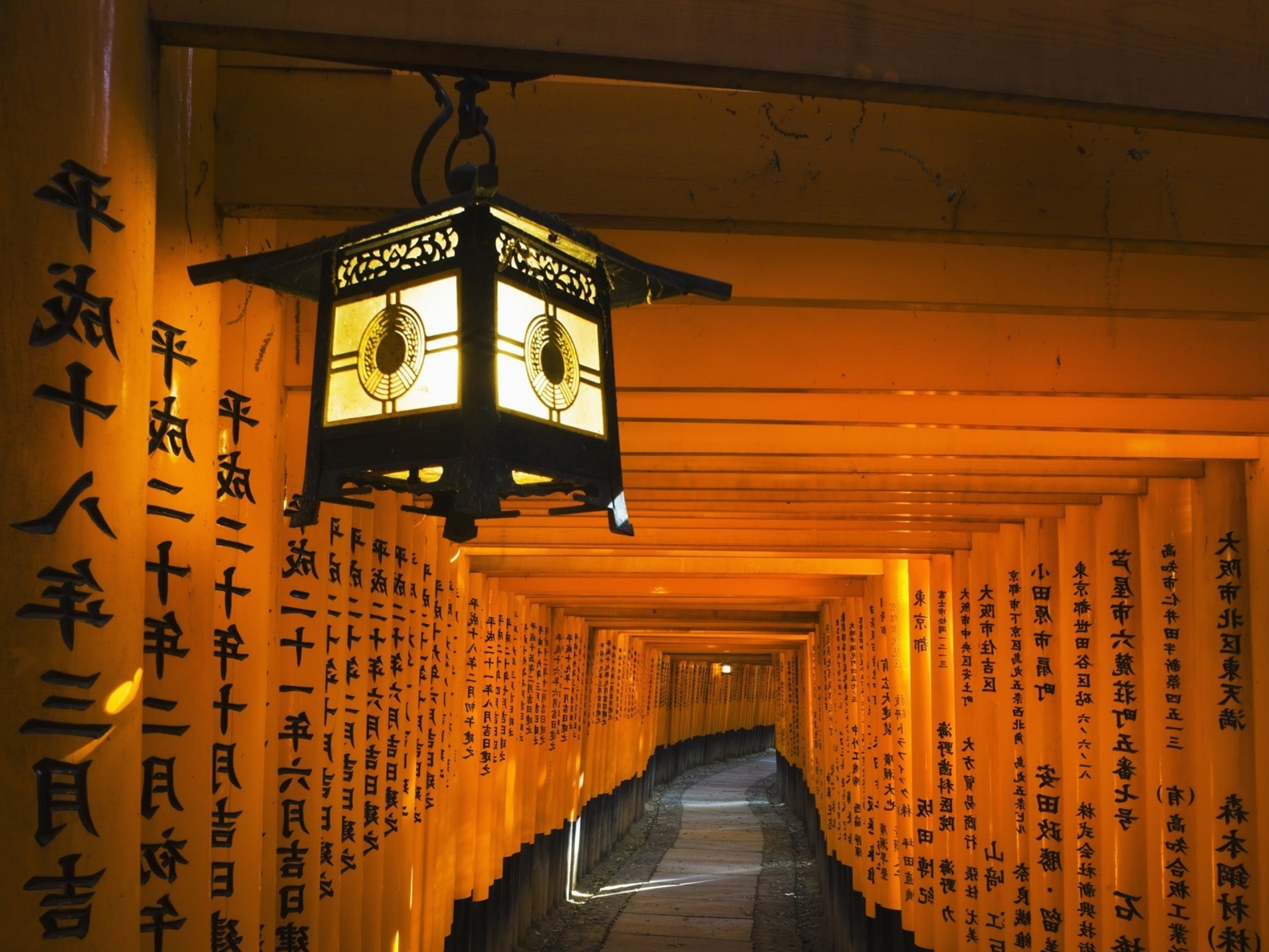 電話スクリーンに最適な稲荷神社の壁紙