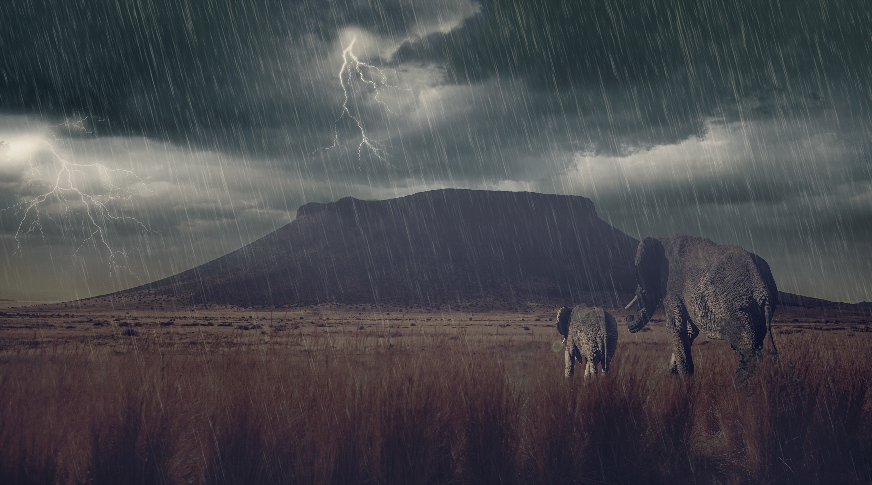 thunderstorm, animal, african bush elephant, baby animal, lightning, mountain, rain, savannah, elephants