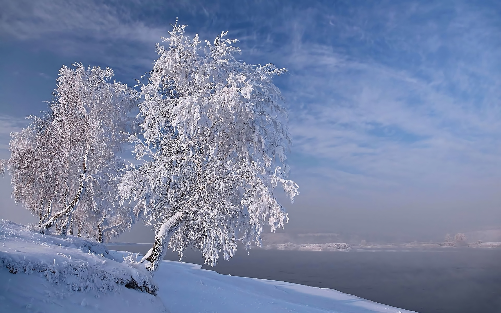 Handy-Wallpaper Winter, Schnee, See, Baum, Erde/natur kostenlos herunterladen.