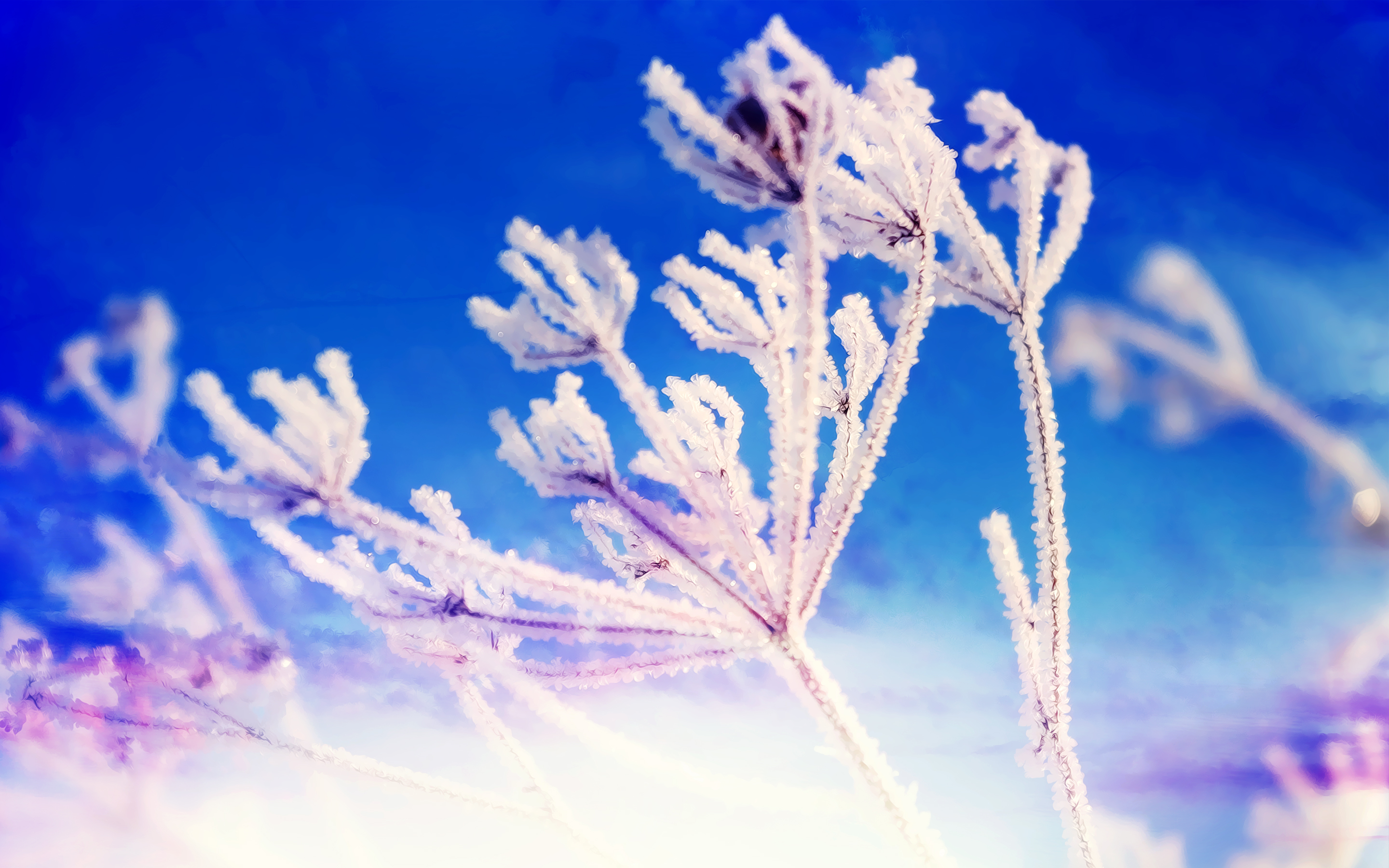 Téléchargez gratuitement l'image Hiver, Terre/nature sur le bureau de votre PC