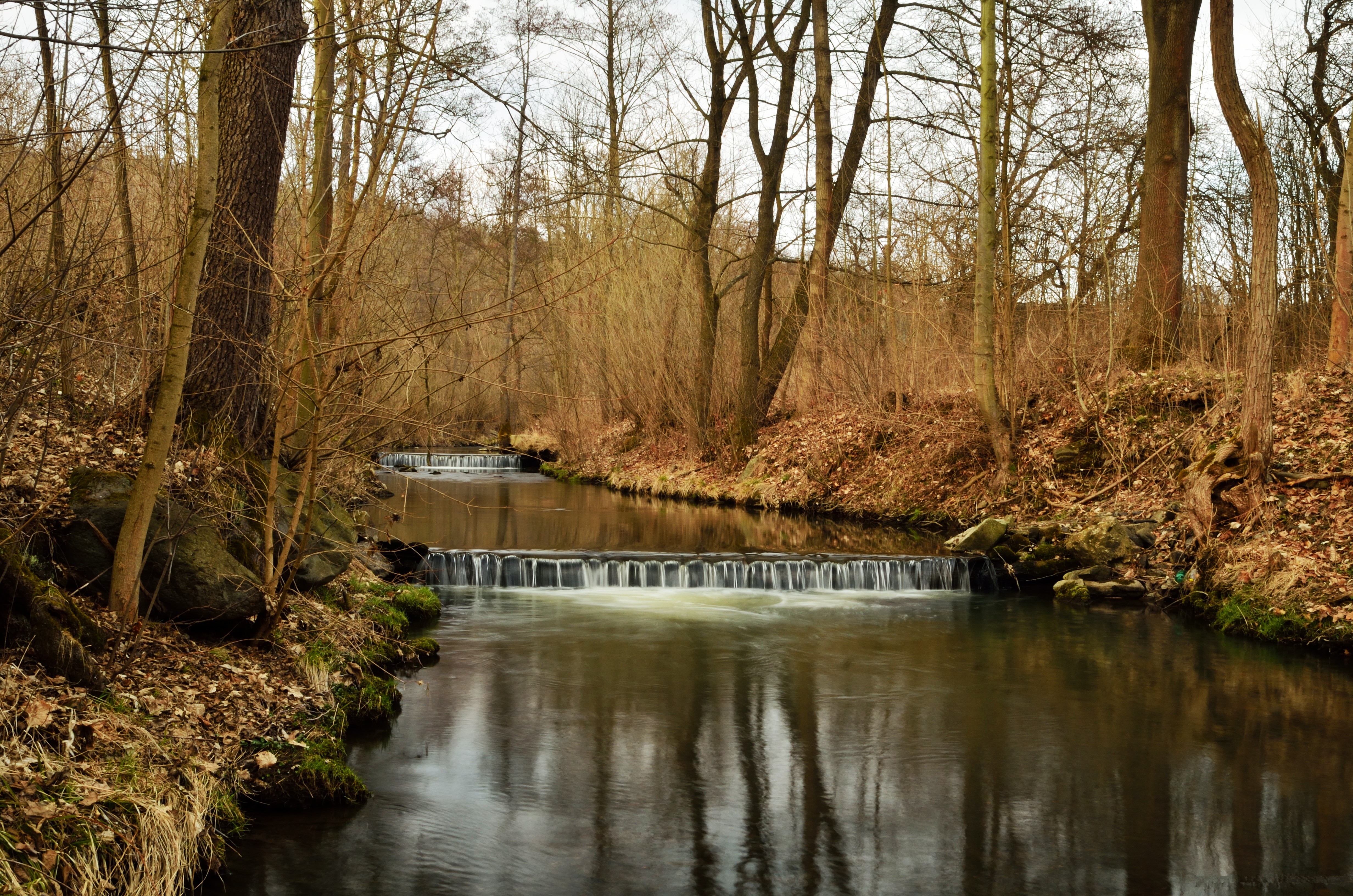 Laden Sie das Natur, Wald, Flüsse-Bild kostenlos auf Ihren PC-Desktop herunter