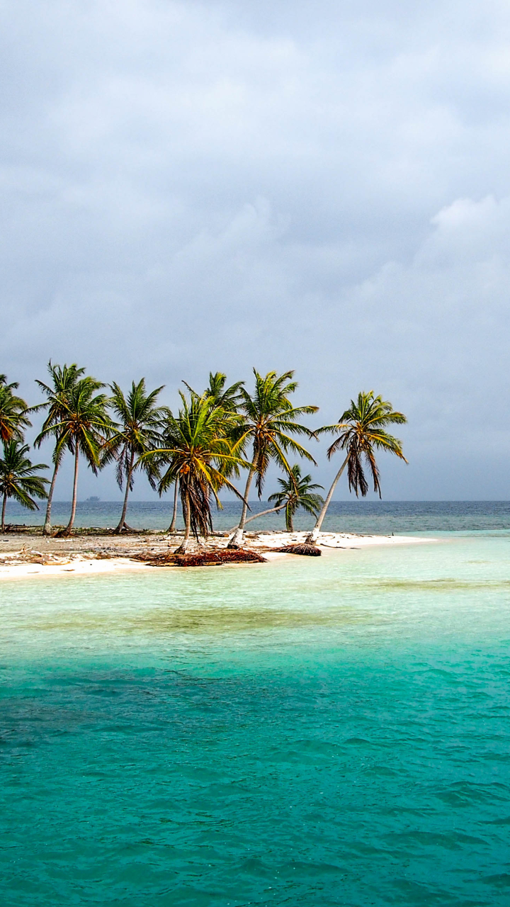 Download mobile wallpaper Sea, Horizon, Ocean, Earth, Island, Tropical, Panama, Palm Tree for free.