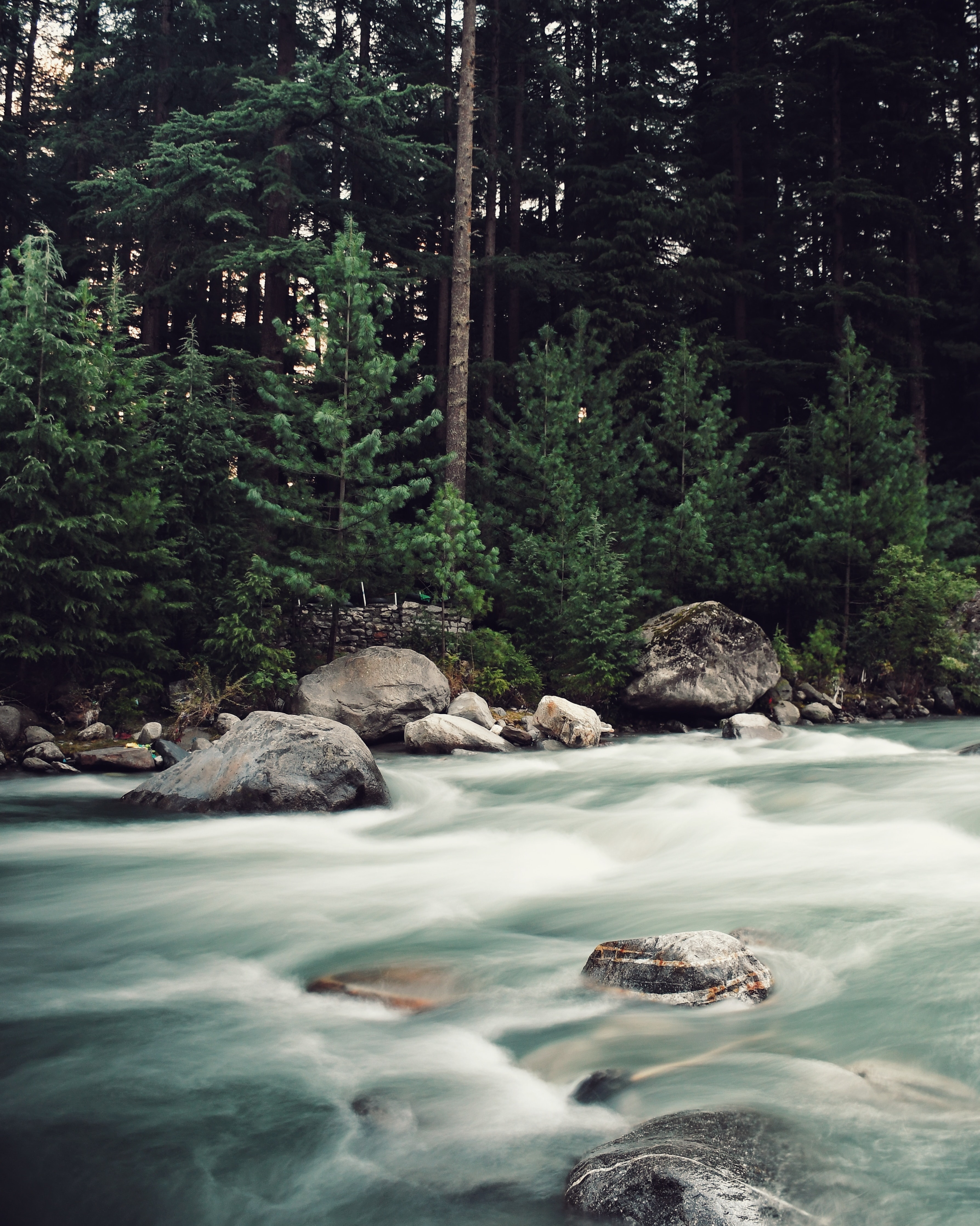Download mobile wallpaper Spruce, Fir, Stream, Forest, Rivers, Stones, Flow, Trees, Nature for free.