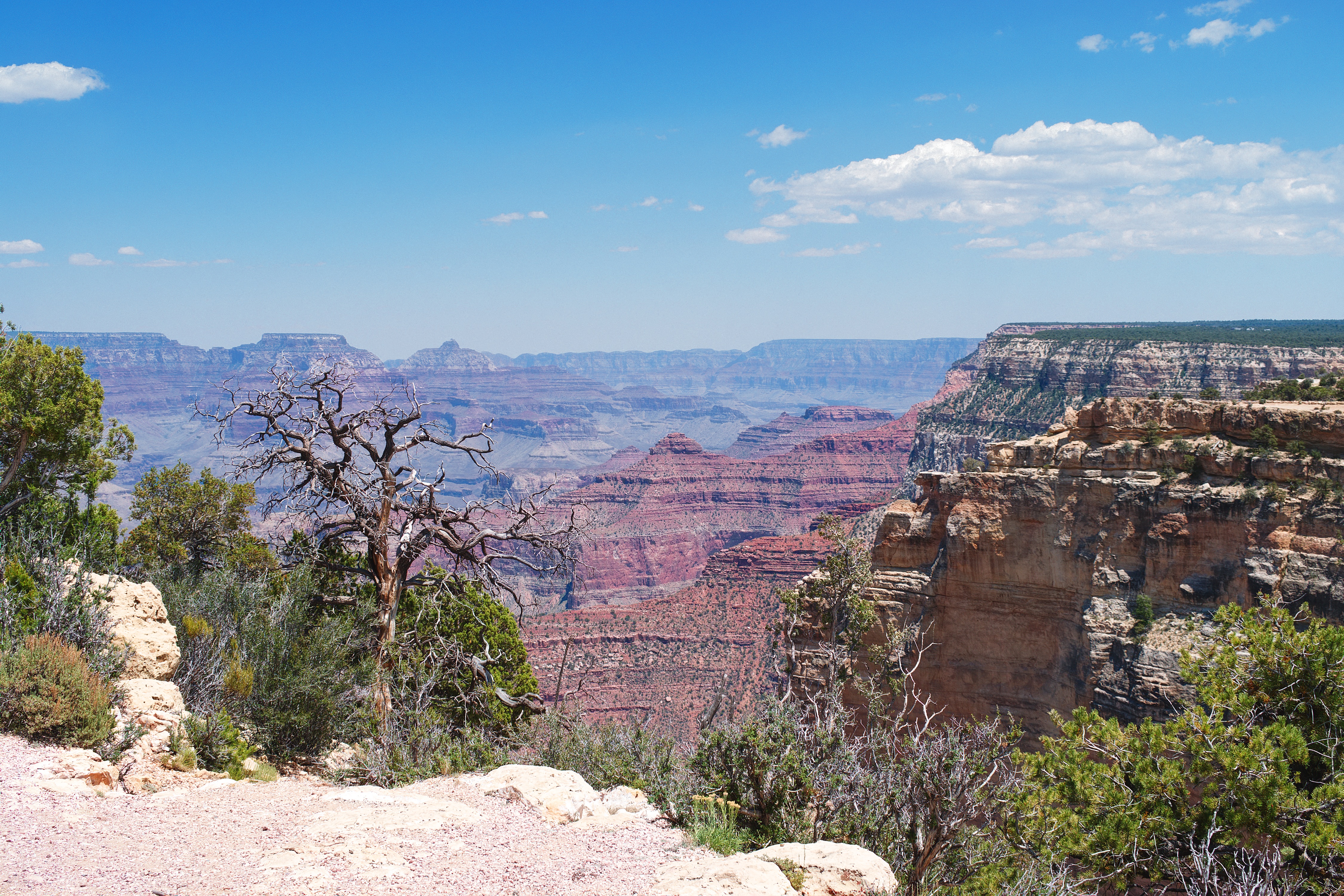 109203 Bild herunterladen usa, natur, mountains, amerika, grand canyon - Hintergrundbilder und Bildschirmschoner kostenlos