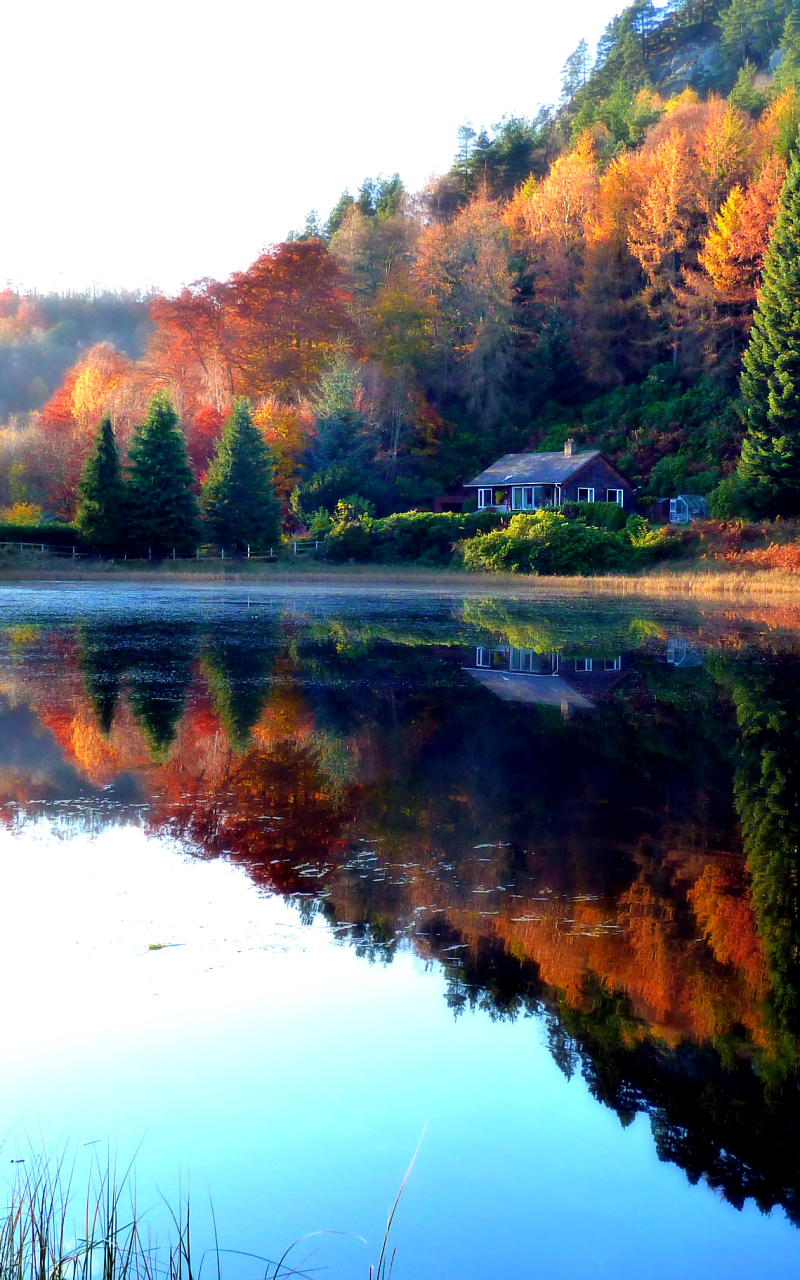 Descarga gratuita de fondo de pantalla para móvil de Otoño, Fotografía.