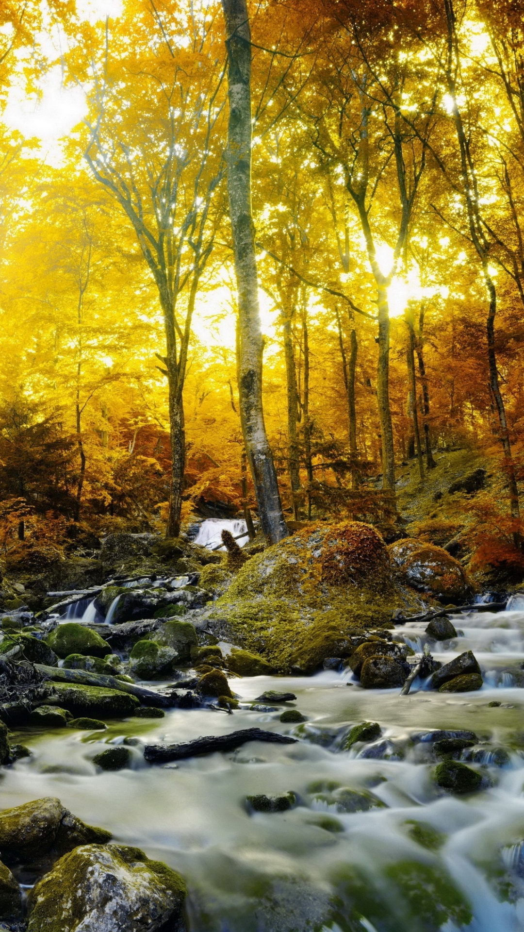 Descarga gratuita de fondo de pantalla para móvil de Otoño, Bosque, Piedra, Chorro, Tierra/naturaleza, Brillo Solar.