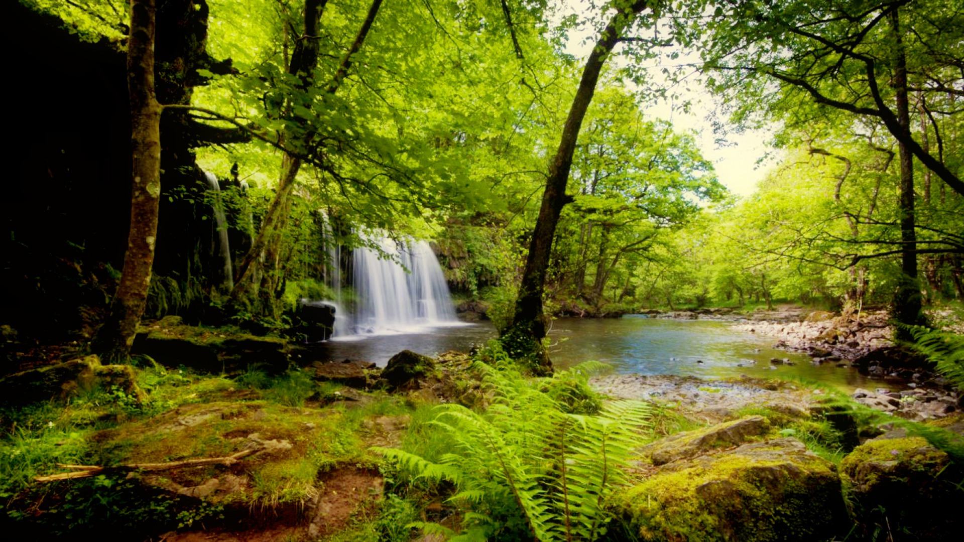 Скачать обои бесплатно Природа, Водопады, Водопад, Лес, Зеленый, Земля/природа картинка на рабочий стол ПК