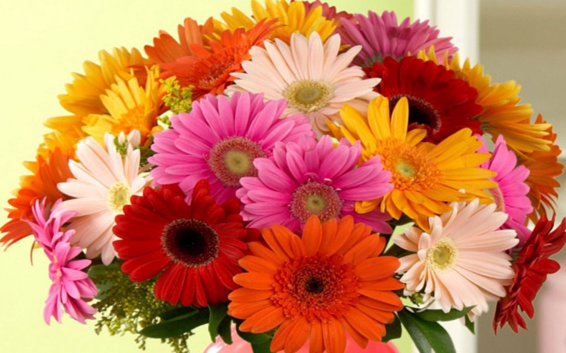 Download mobile wallpaper Flower, Bouquet, Colorful, Gerbera, Yellow Flower, White Flower, Red Flower, Man Made, Pink Flower for free.