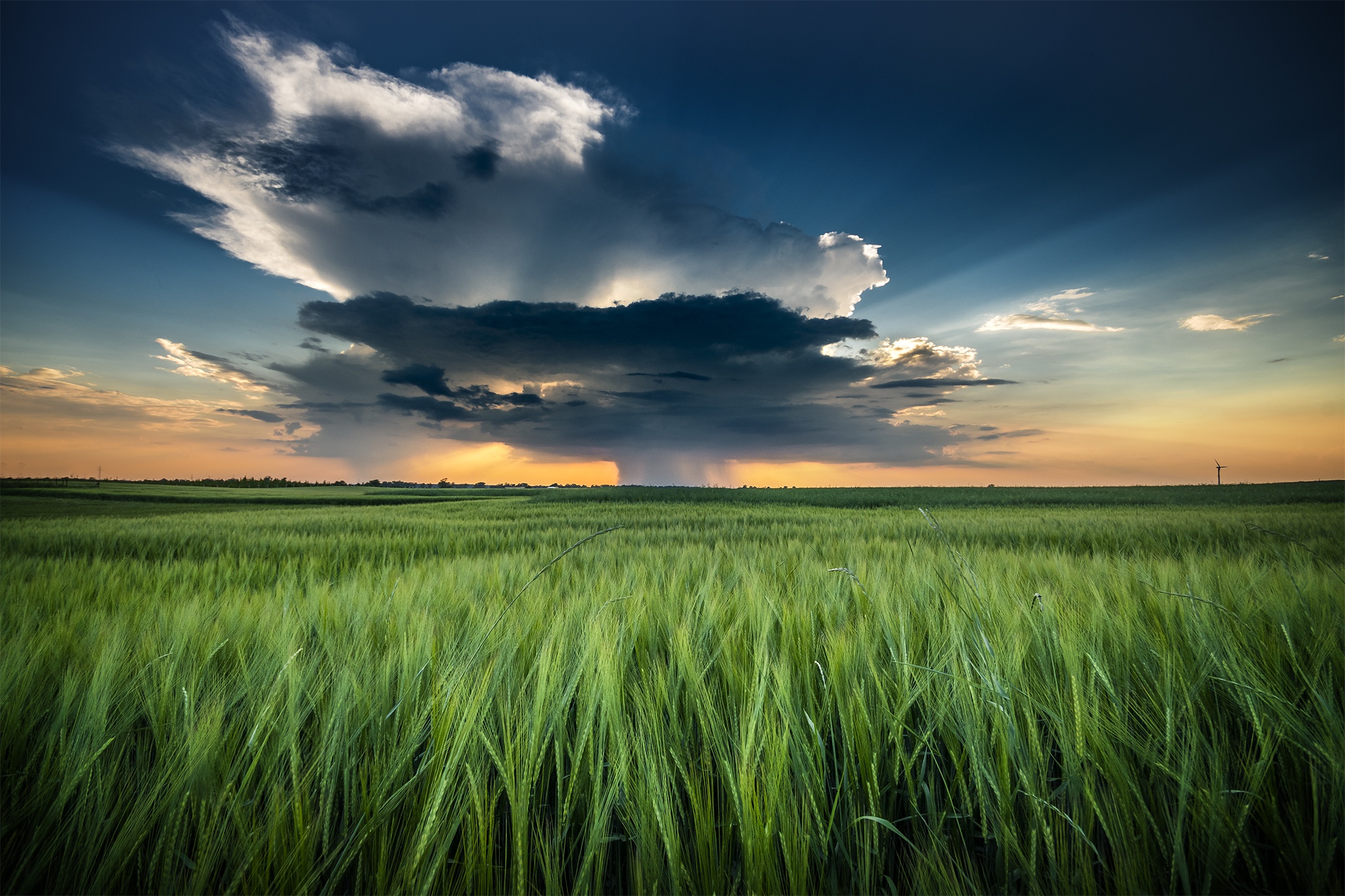 Download mobile wallpaper Nature, Sky, Summer, Earth, Field, Cloud for free.