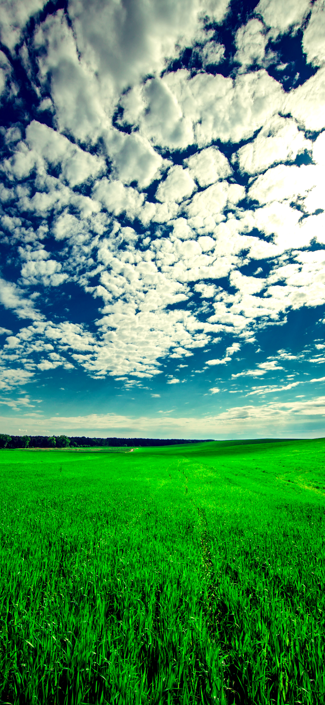 Скачать картинку Пейзаж, Трава, Небо, Поле, Облако, Ландшафт, Земля/природа в телефон бесплатно.