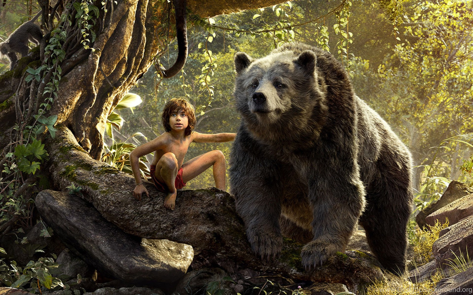 380189 descargar fondo de pantalla películas, el libro de la selva (2016), oso, mowgli, el libro de la selva: protectores de pantalla e imágenes gratis