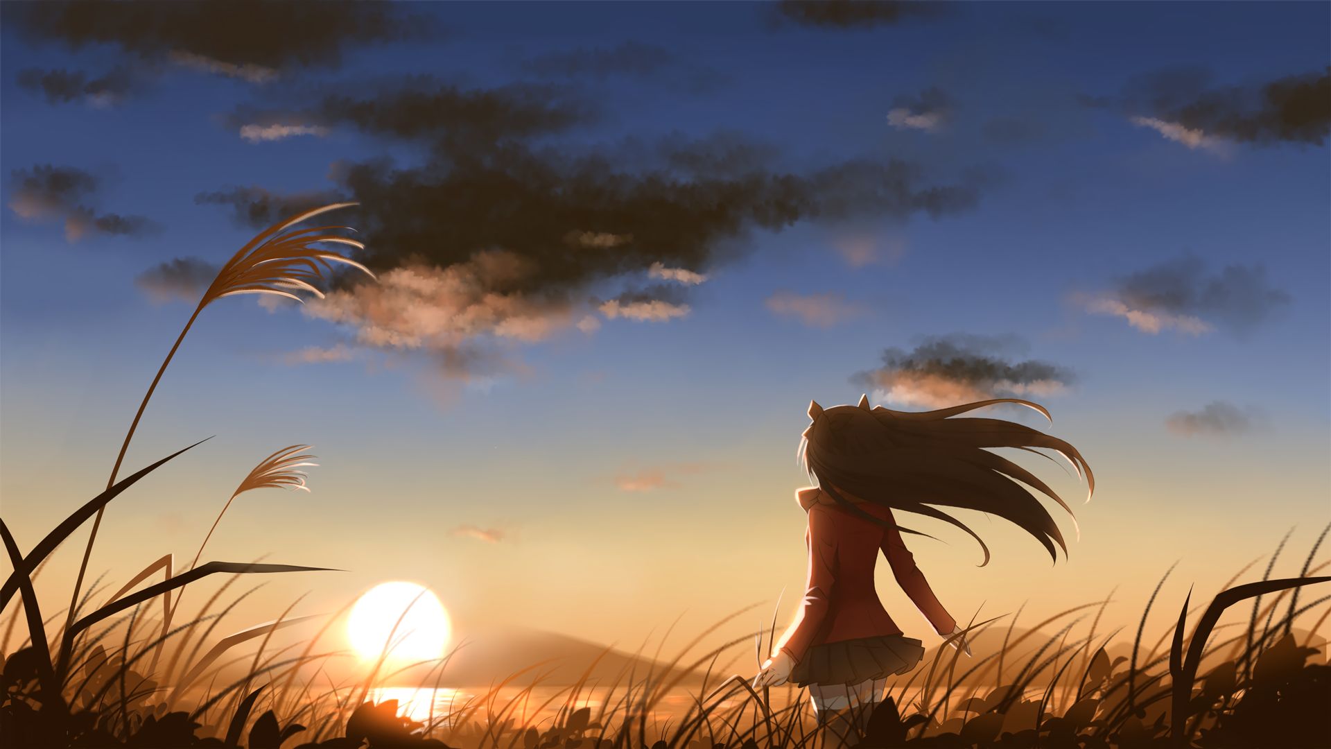 Free download wallpaper Anime, Fate/stay Night, Rin Tohsaka, Fate Series on your PC desktop