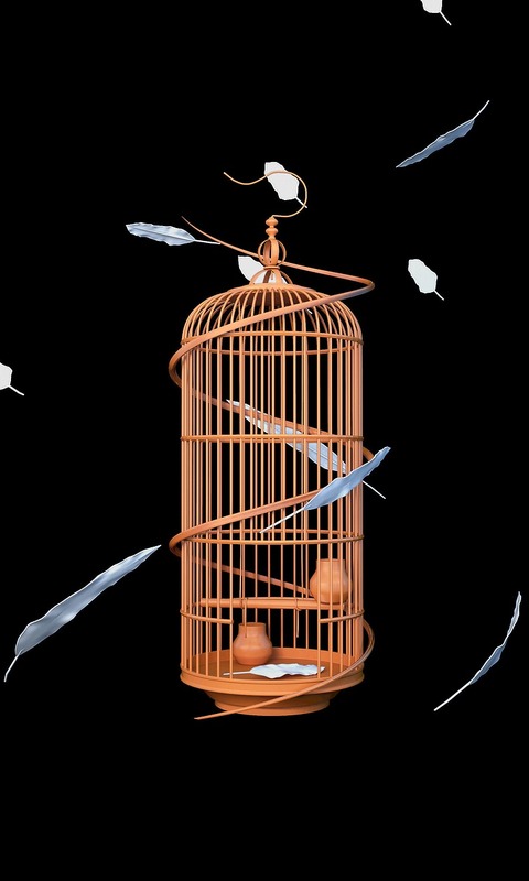 Download mobile wallpaper Feather, Artistic, Other, Birdcage for free.