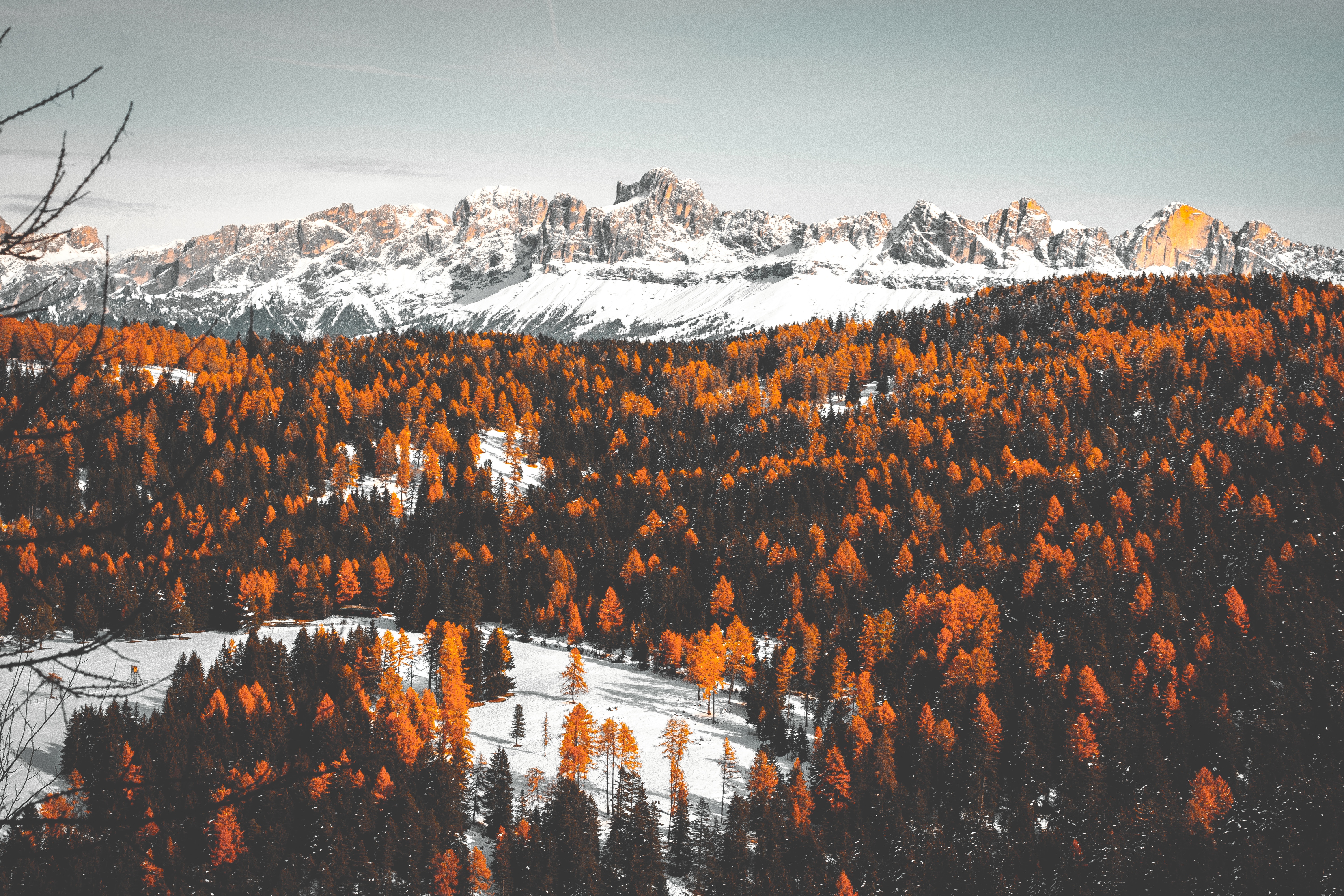 Free download wallpaper Mountains, Winter, Trees, Nature, Snow on your PC desktop