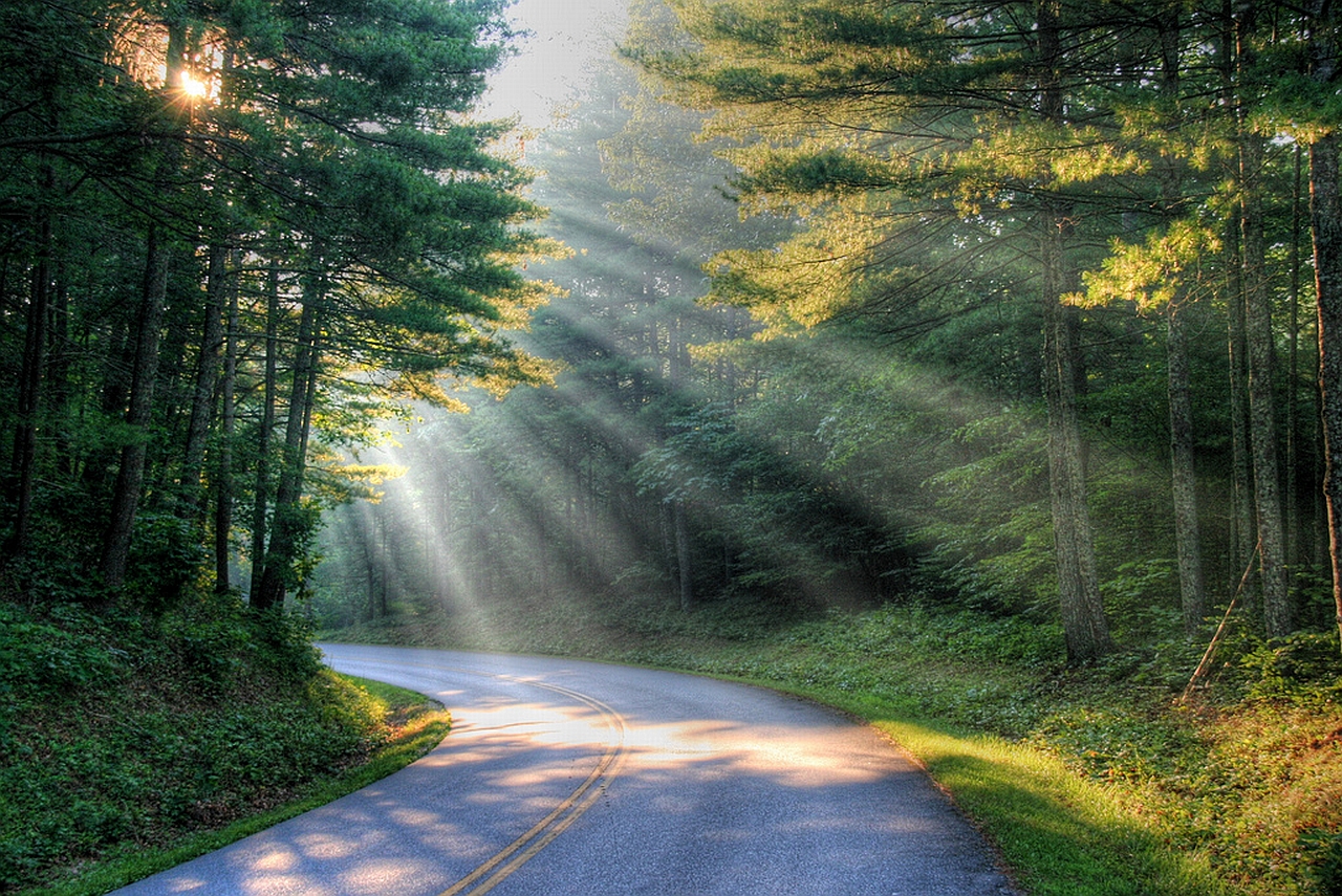 Descarga gratuita de fondo de pantalla para móvil de Carretera, Hecho Por El Hombre.