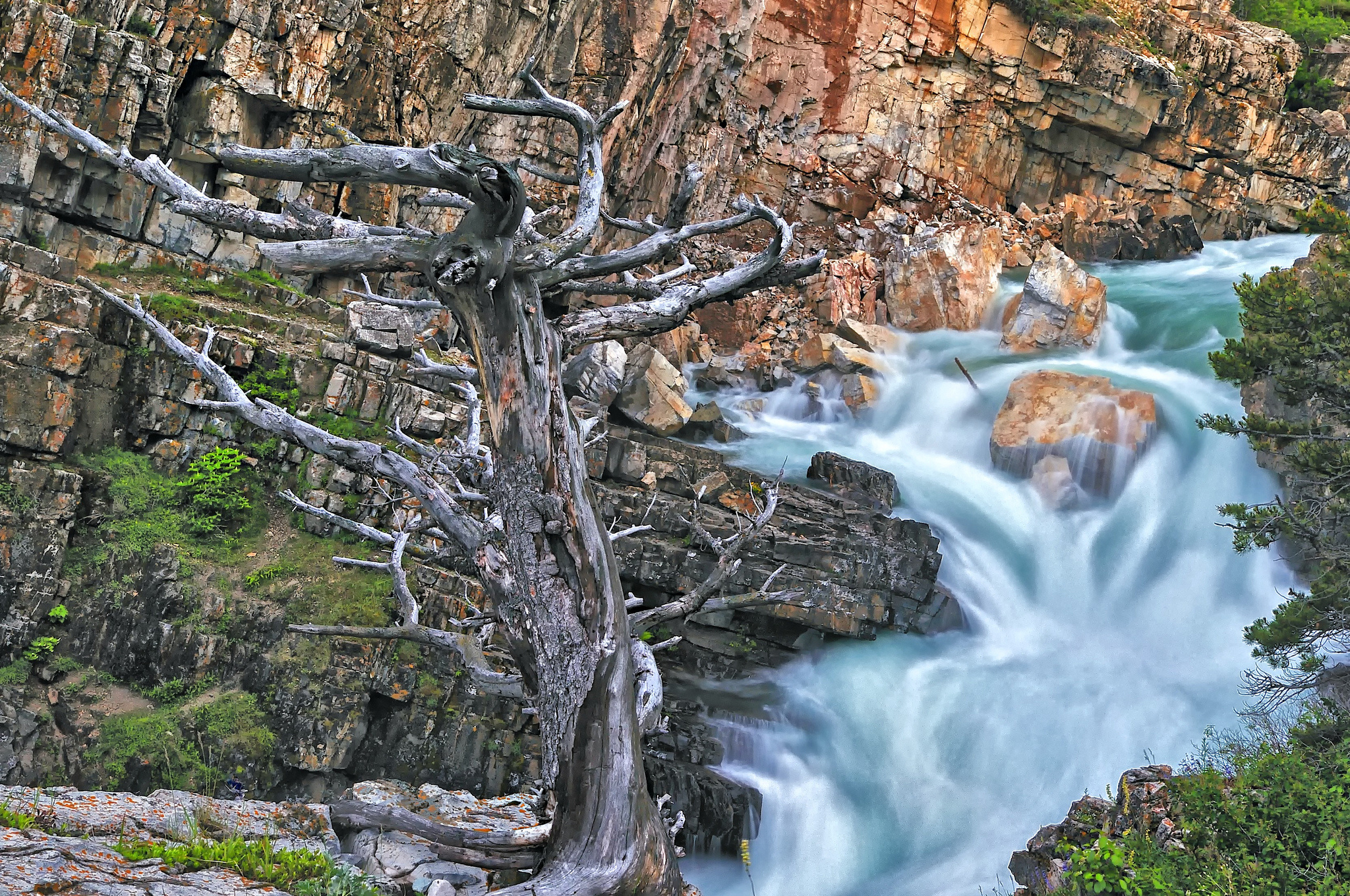 Download mobile wallpaper Swiftcurrent Falls, Waterfall, Waterfalls, Tree, Earth for free.