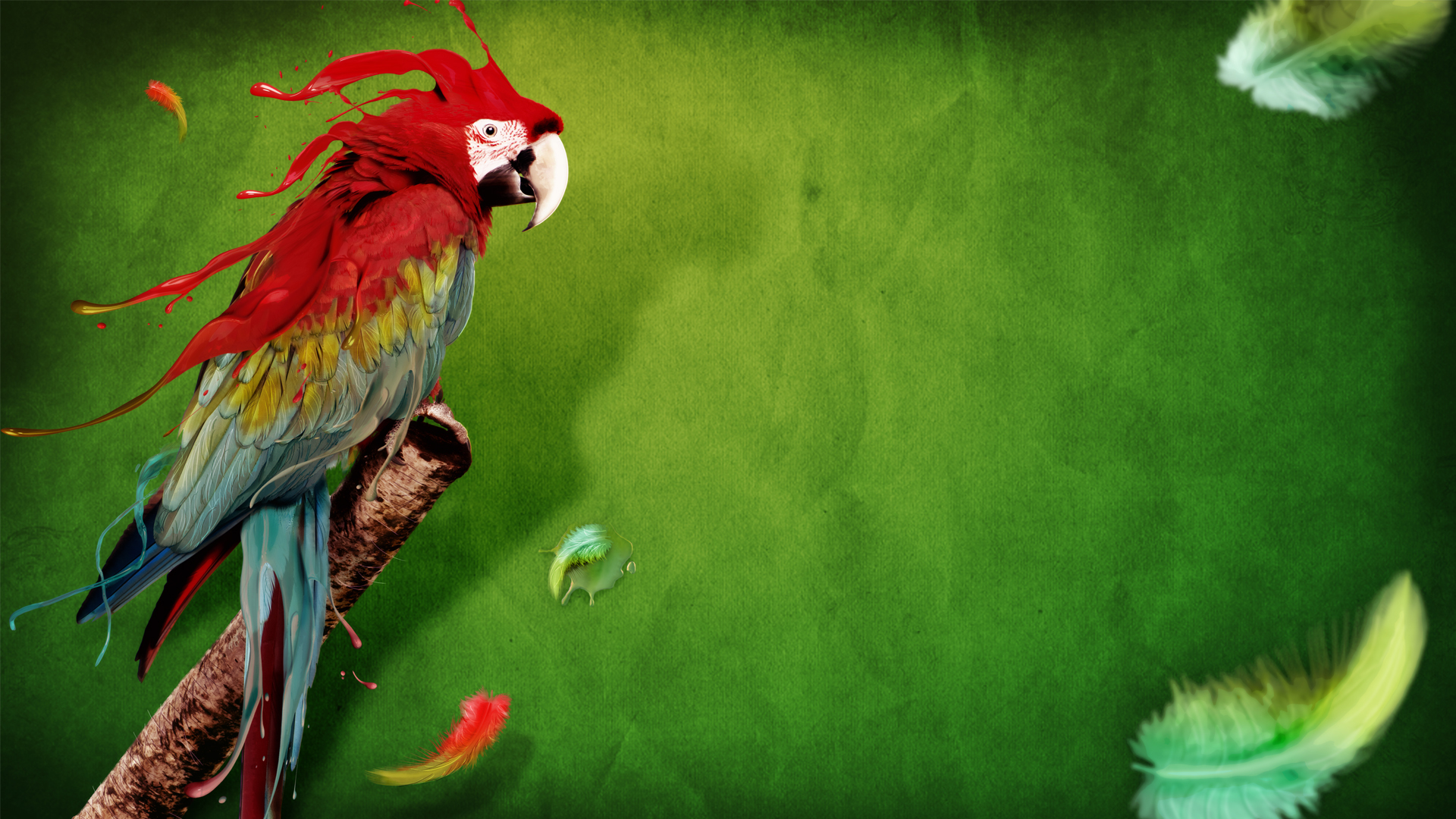 Téléchargez des papiers peints mobile Animaux, Oiseaux, Perroquets gratuitement.