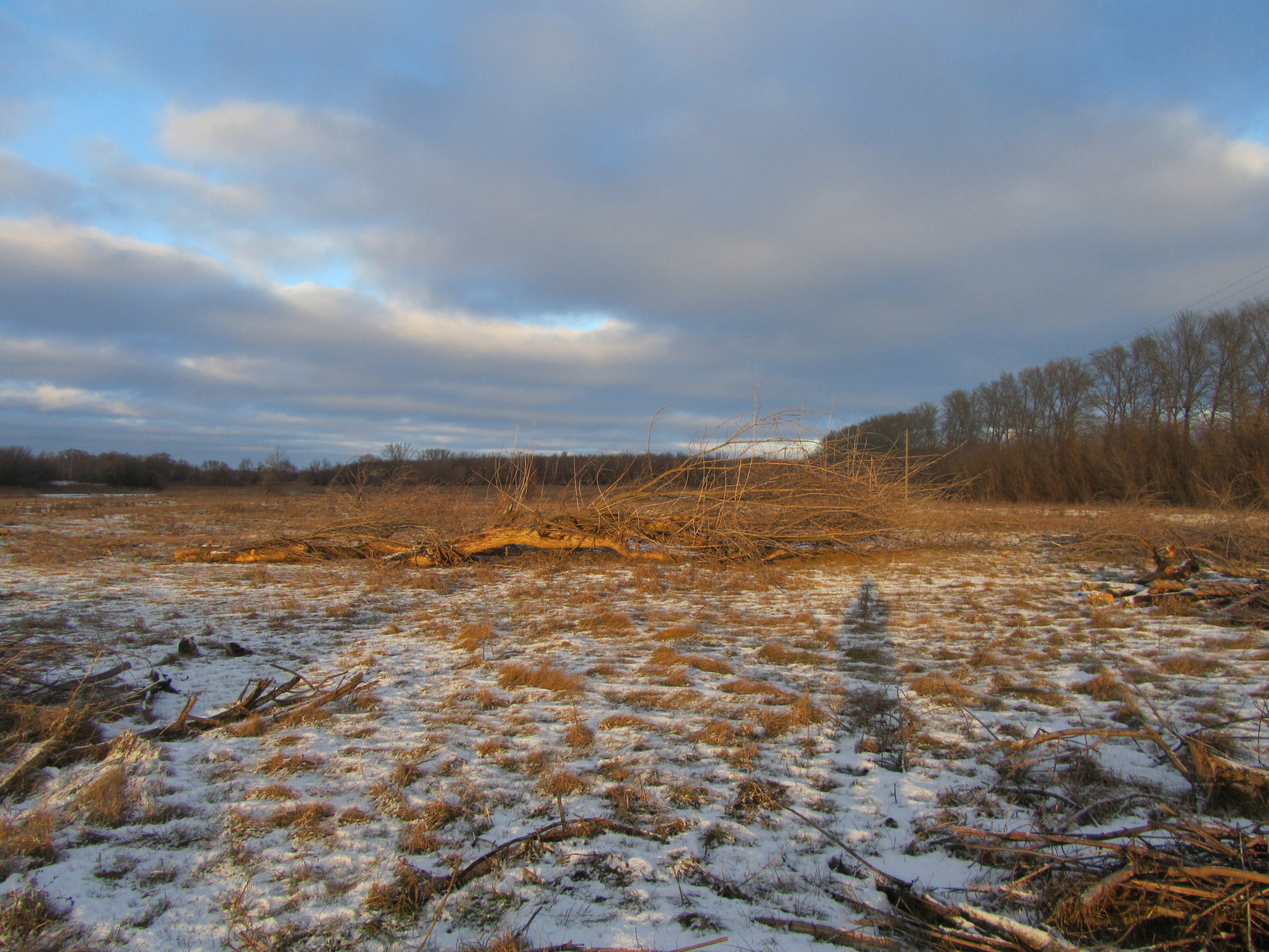 Handy-Wallpaper Winter, Erde/natur kostenlos herunterladen.