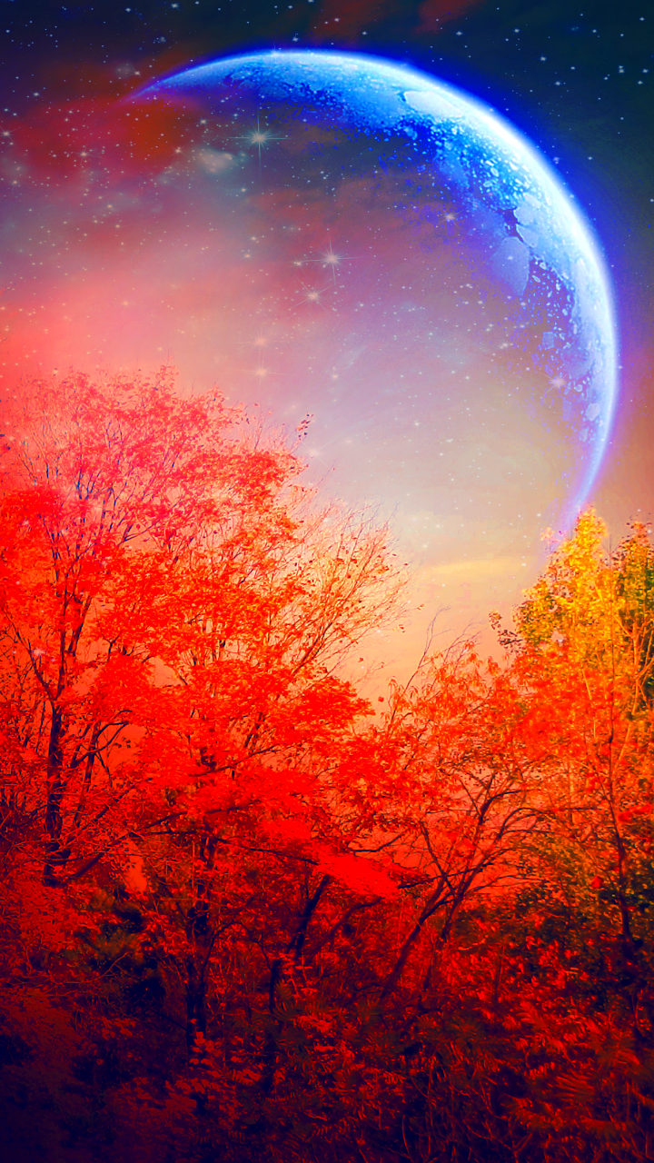 Скачать картинку Осень, Луна, Дерево, Падать, Художественные, Оранжевый Цвет) в телефон бесплатно.