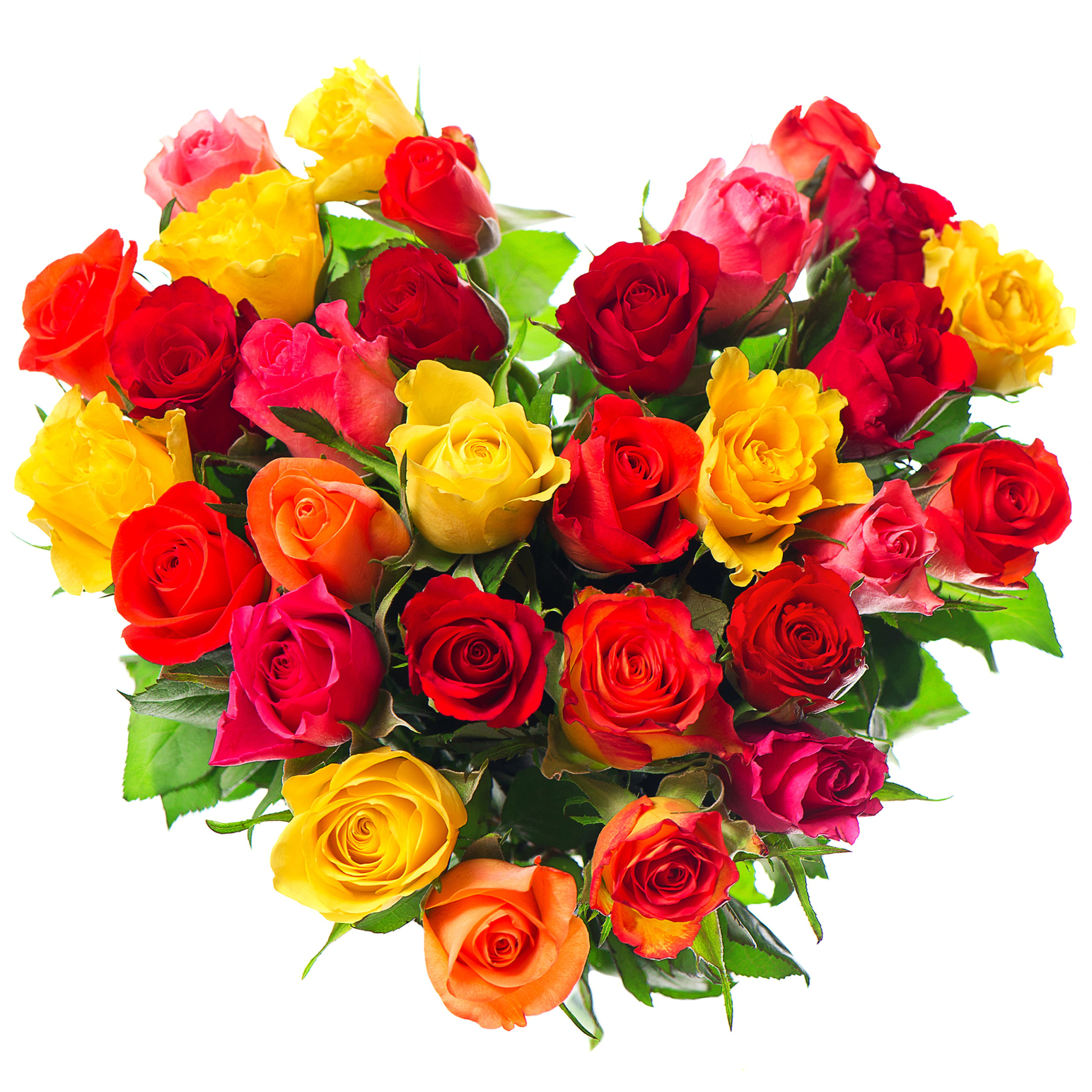 Handy-Wallpaper Feiertage, Valentinstag, Rose, Bunt, Rote Rose, Gelbe Rose, Herz, Ferien, Feiertag, Pinke Rose kostenlos herunterladen.
